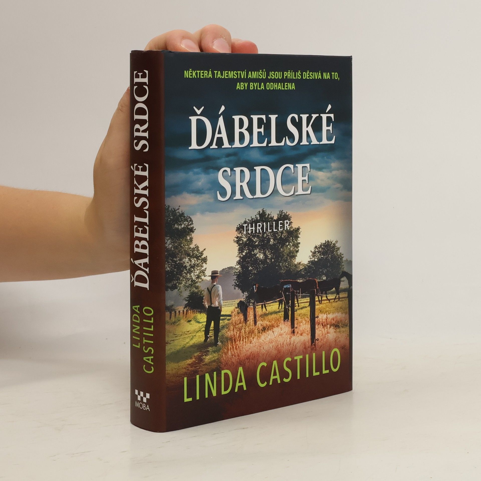 Linda Castillo Ďábelské srdce