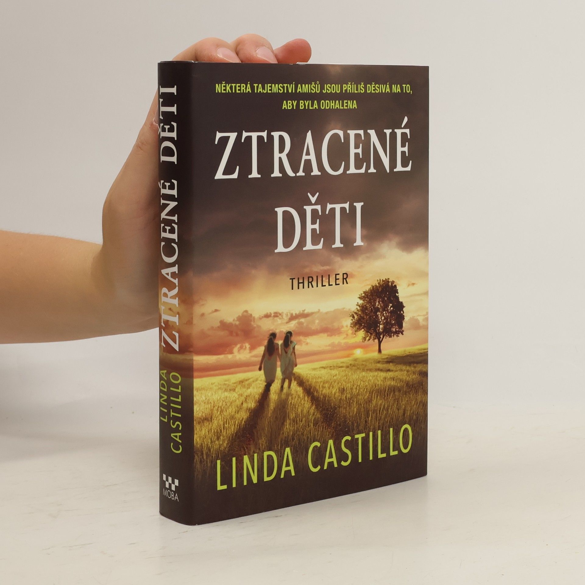Linda Castillo Ztracené děti