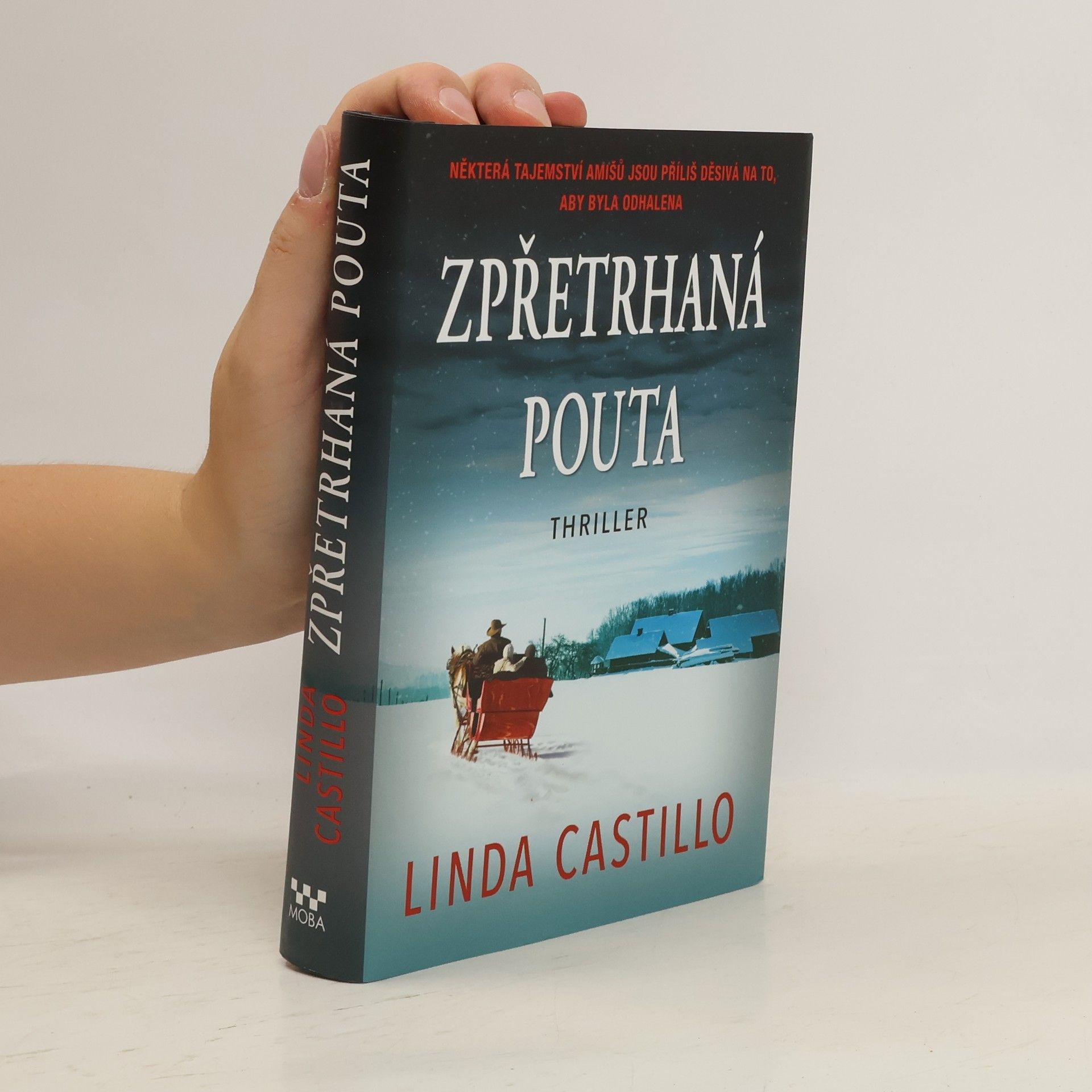Linda Castillo Zpřetrhaná pouta