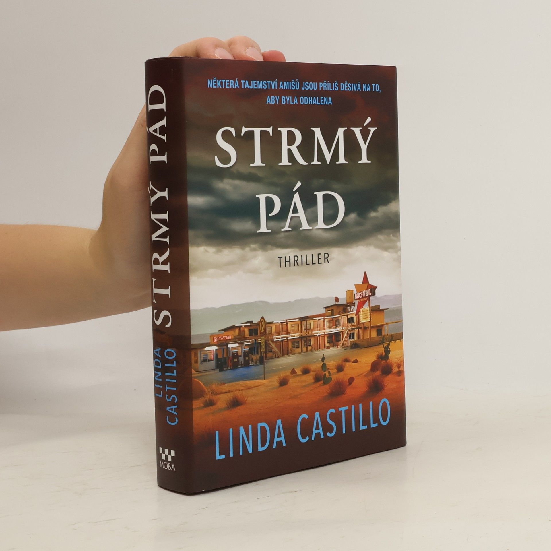 Linda Castillo Strmý pád