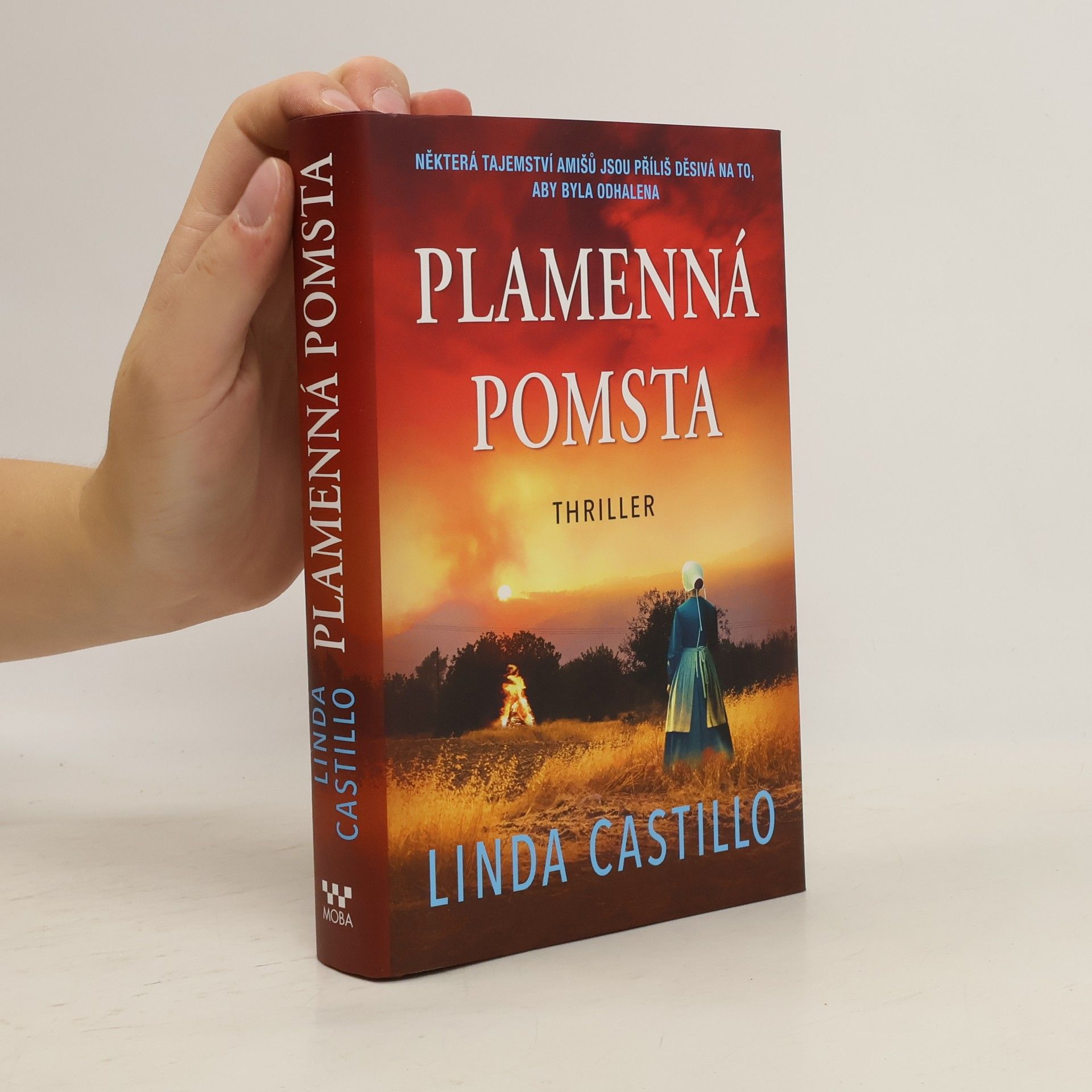 Linda Castillo Plamenná pomsta