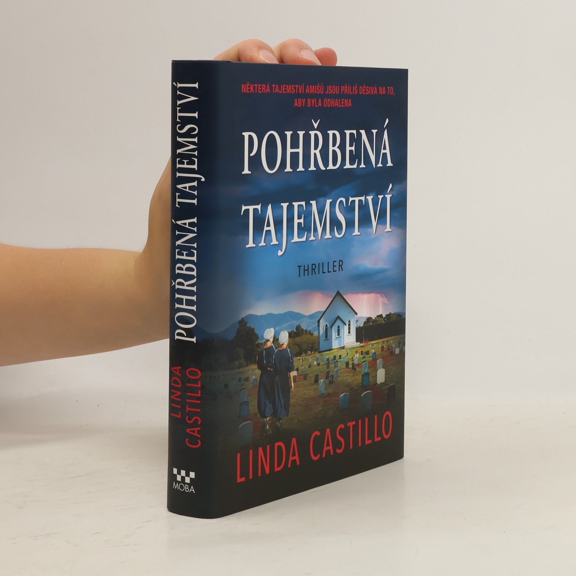 Linda Castillo Pohřbená tajemství