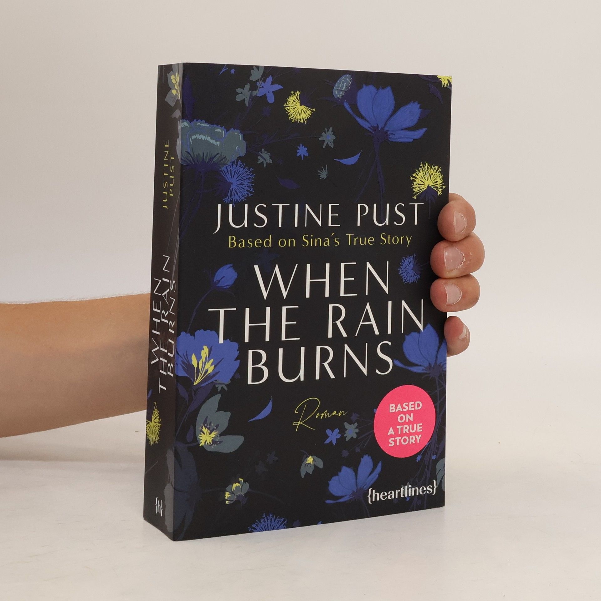 Justine Pust When the Rain Burns