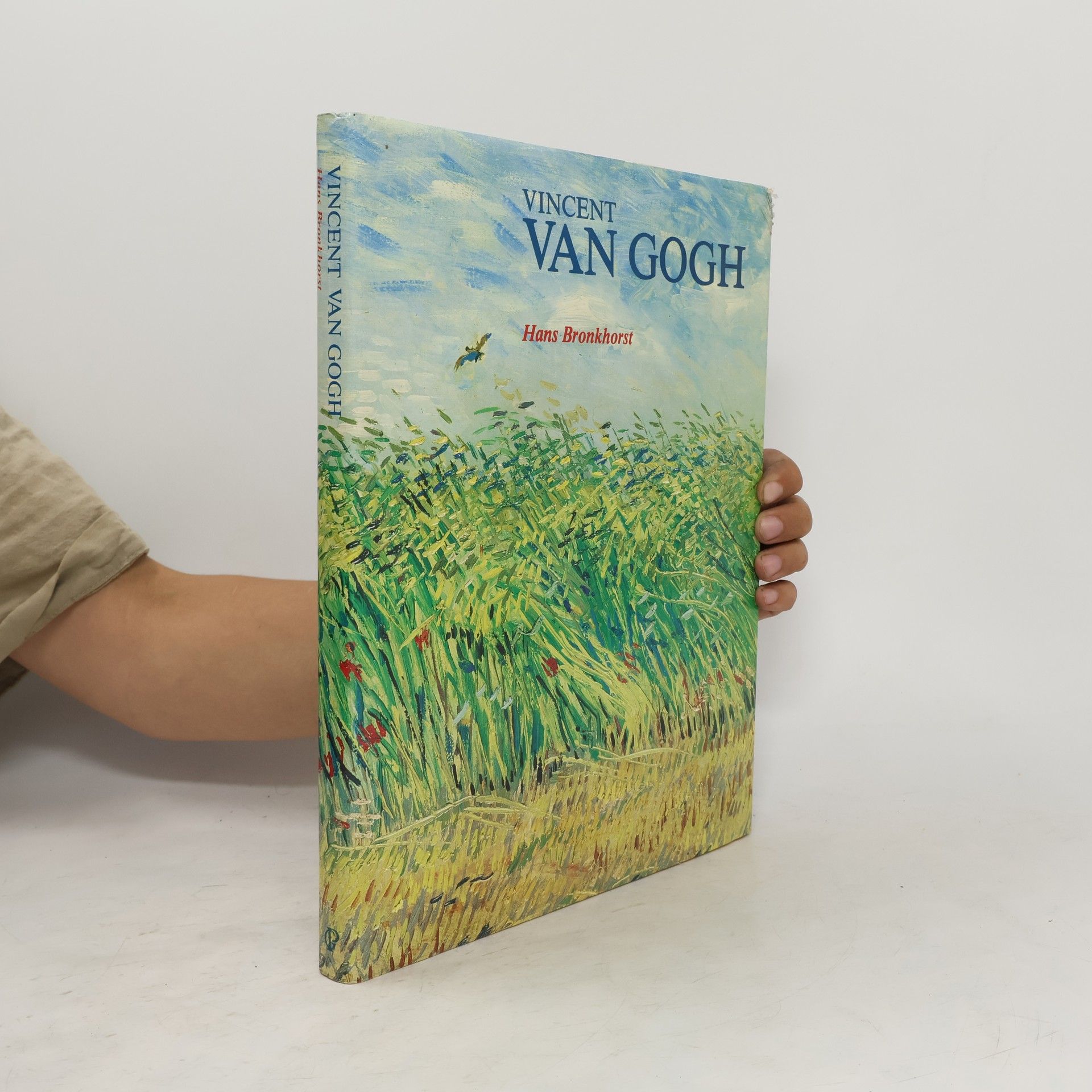 Hans Bronkhorst Vincent van Gogh