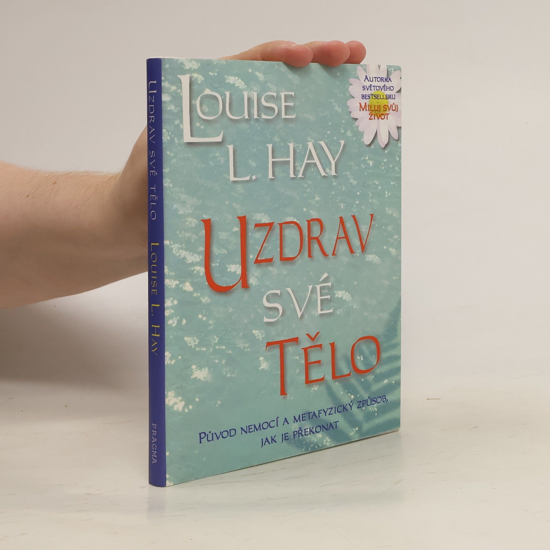 Louise Lynn Hay Uzdrav své tělo: Původ nemocí a metafyzický způsob, jak je překonat
