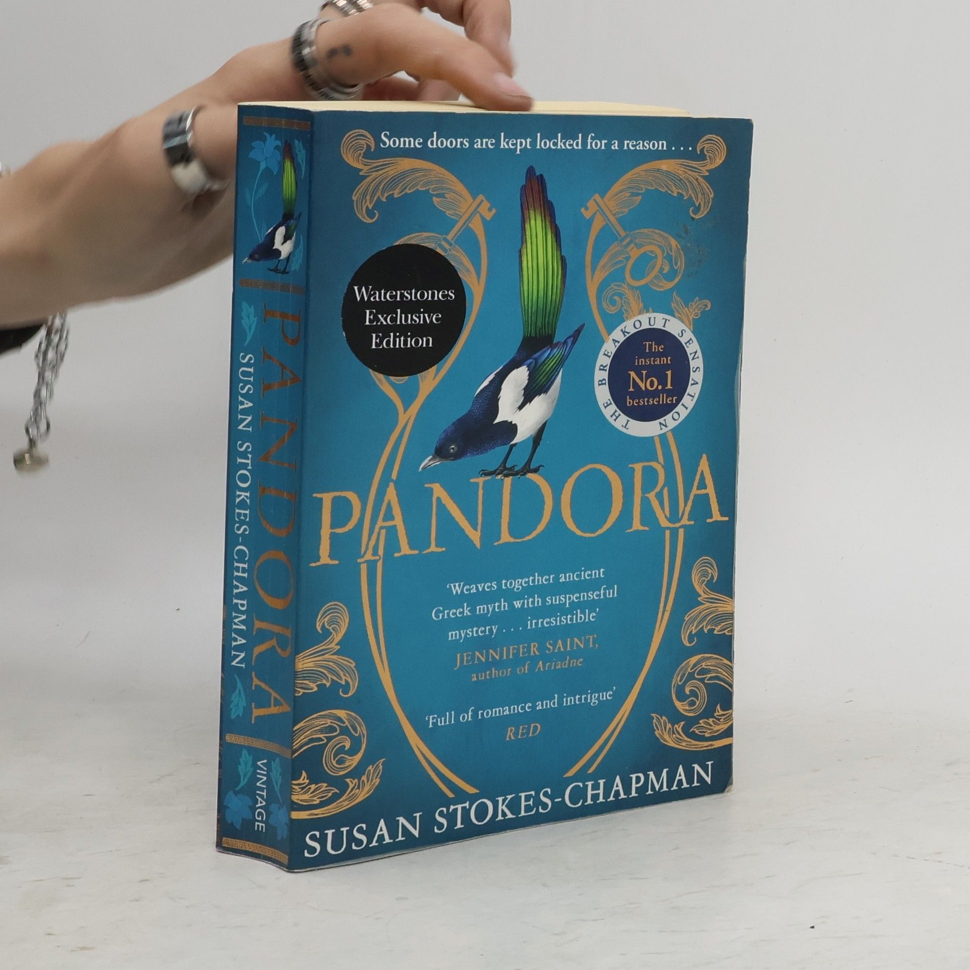 Susan Stokes Chapman Pandora