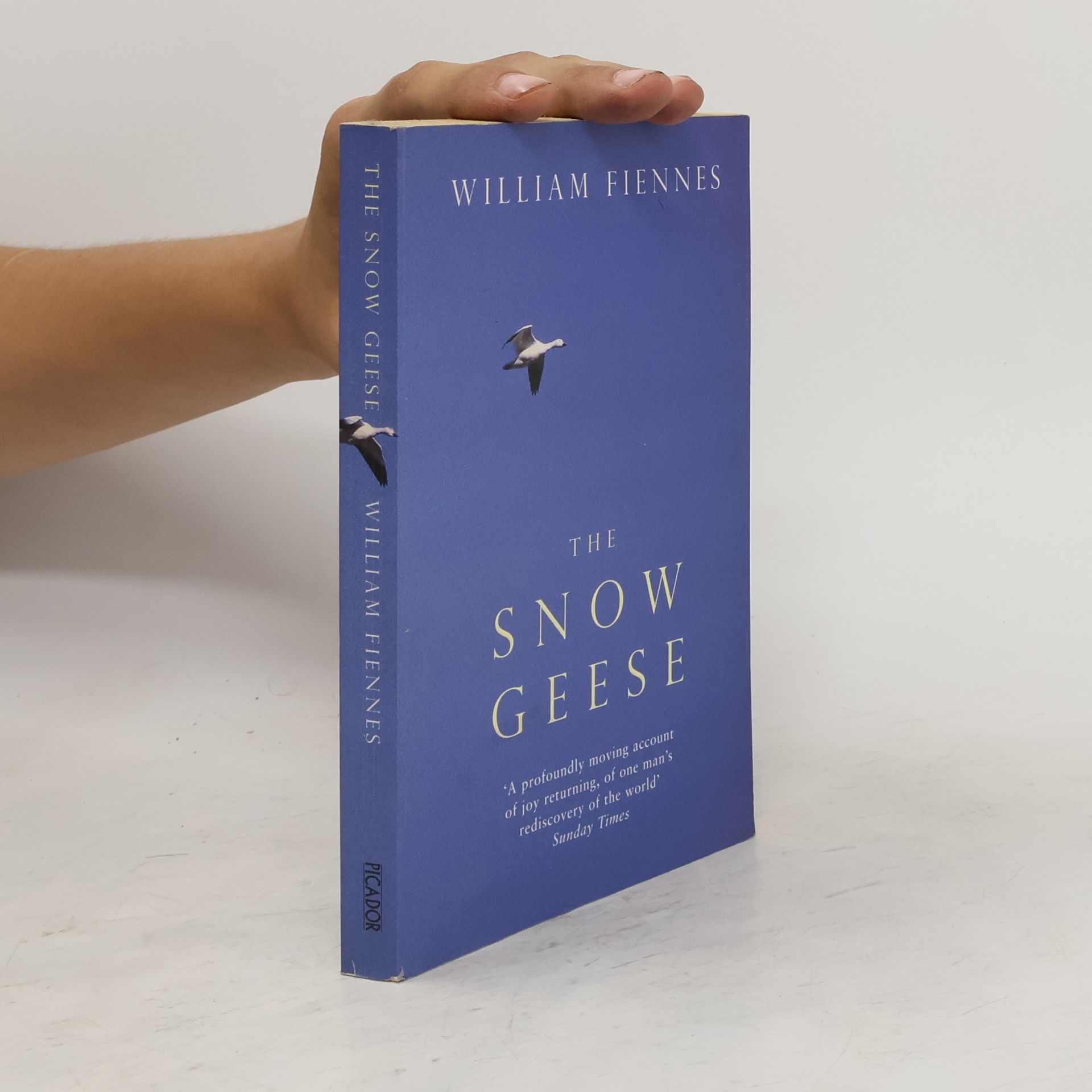 William Fiennes The Snow Geese