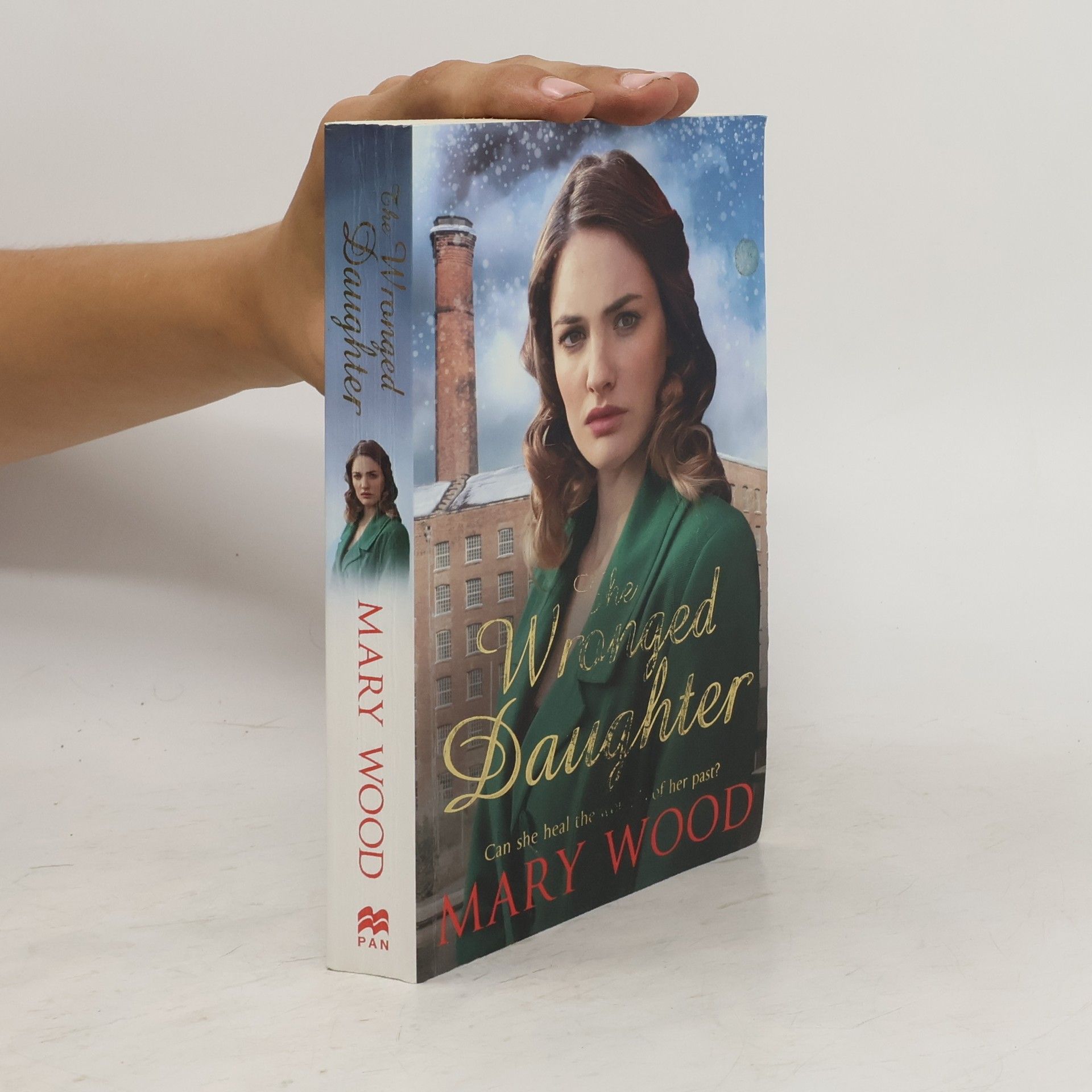 Mary Chr. Wood The Wronged Daughter