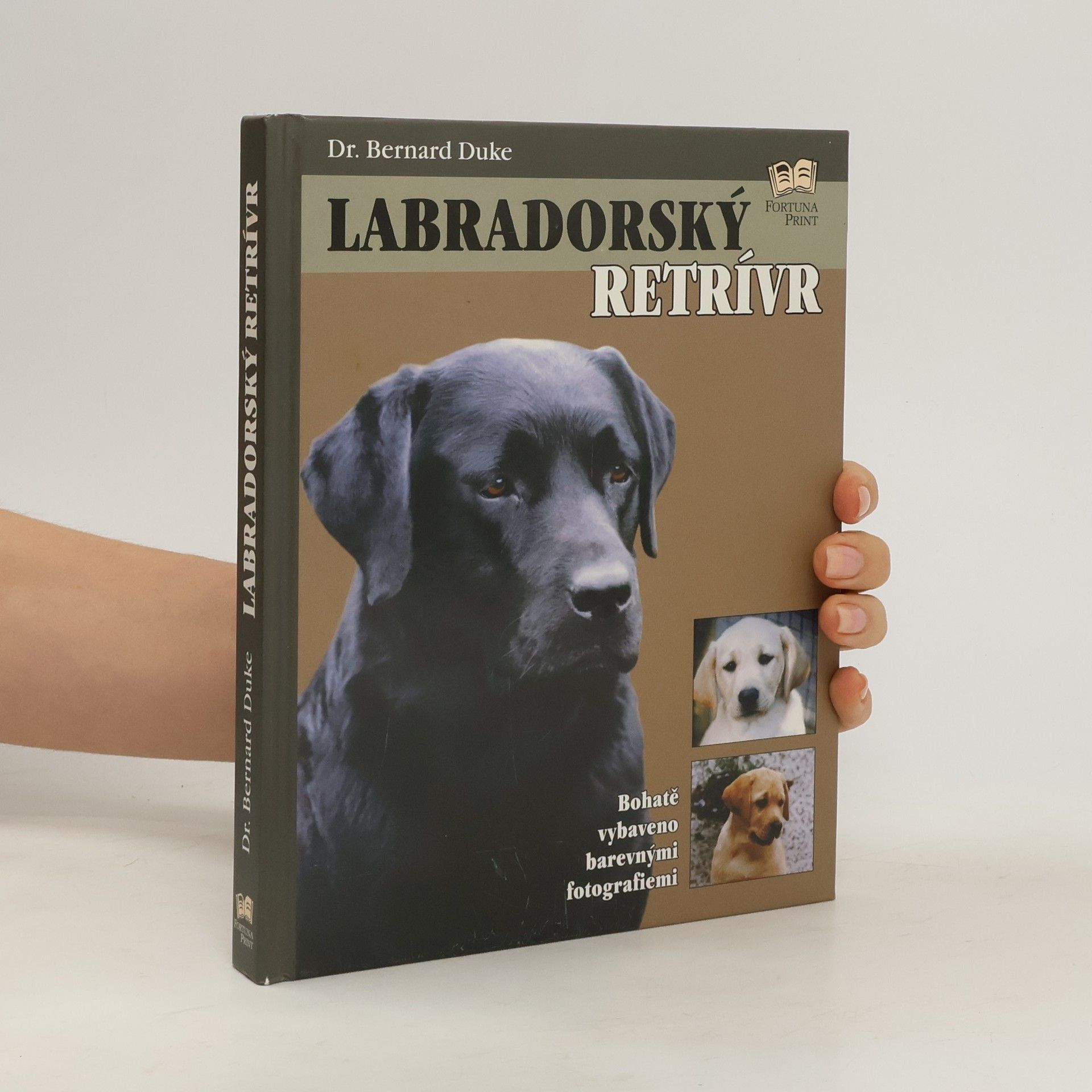 Bernard Duke Labradorský retrívr