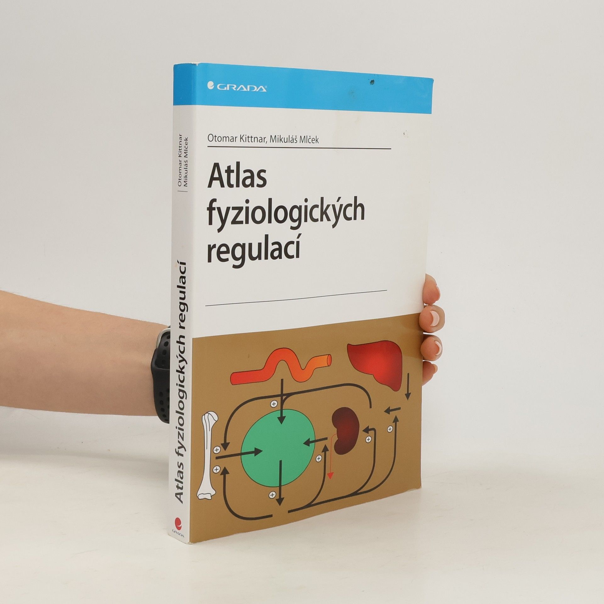 Otomar Kittnar Atlas fyziologických regulací. 329 schémat
