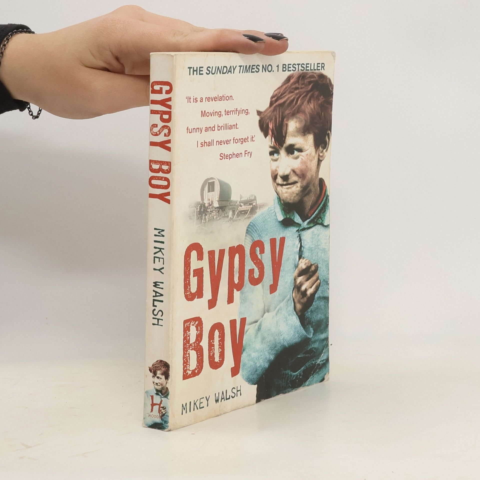 Mikey Walsh Gypsy Boy