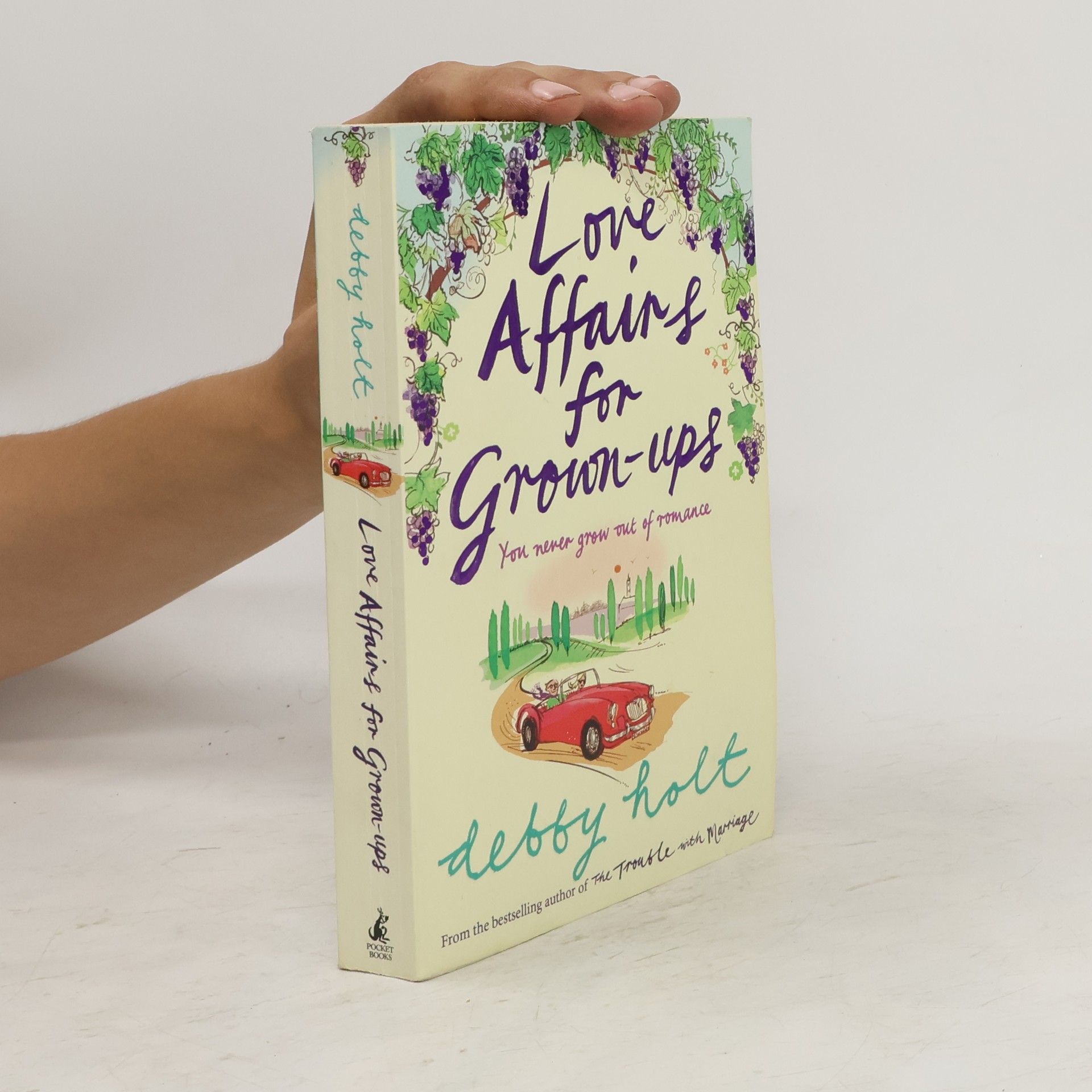 Debby Holt Love Affairs for Grown-Ups