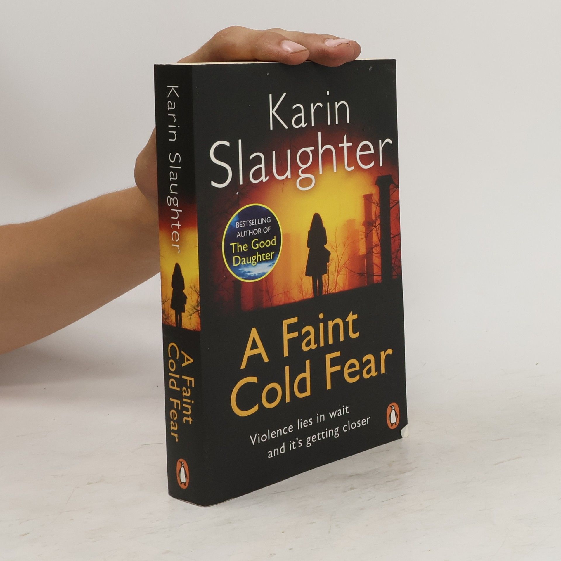 Karin Slaughter A Faint Cold Fear