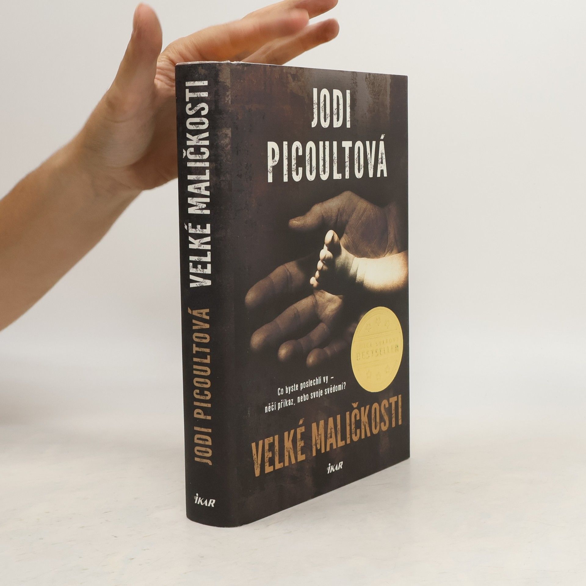 Jodi Picoult Velké maličkosti