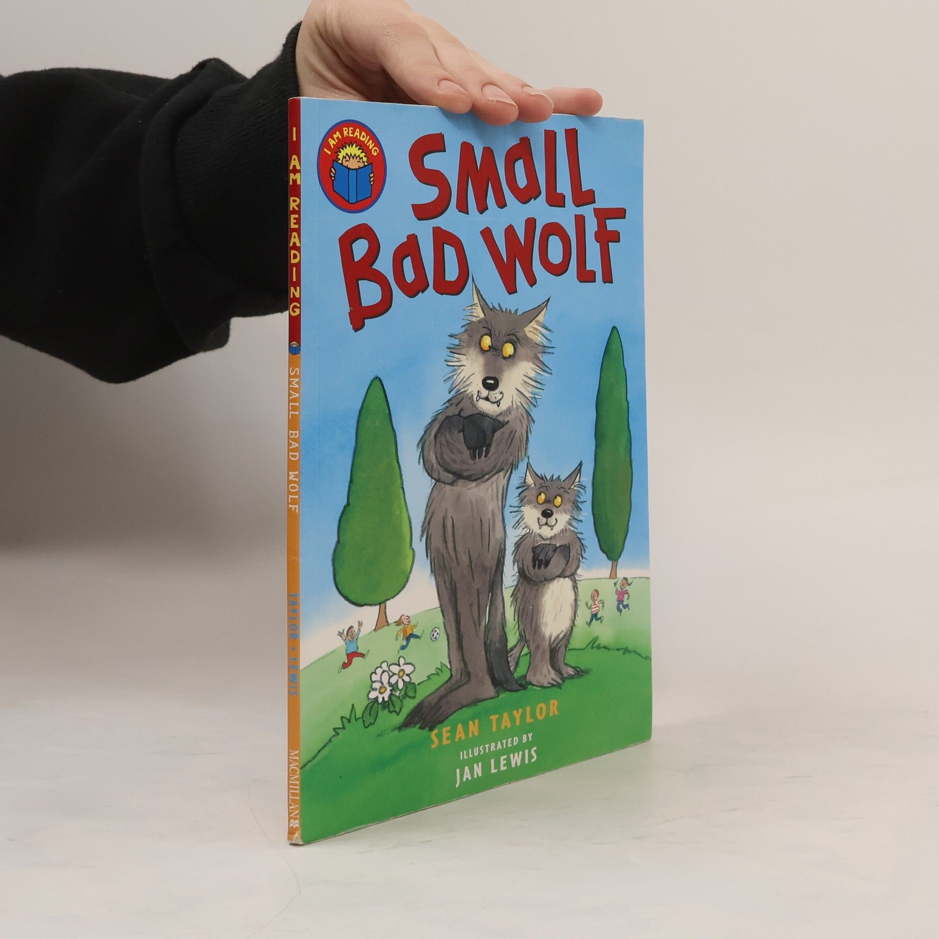 Sean Taylor Small Bad Wolf