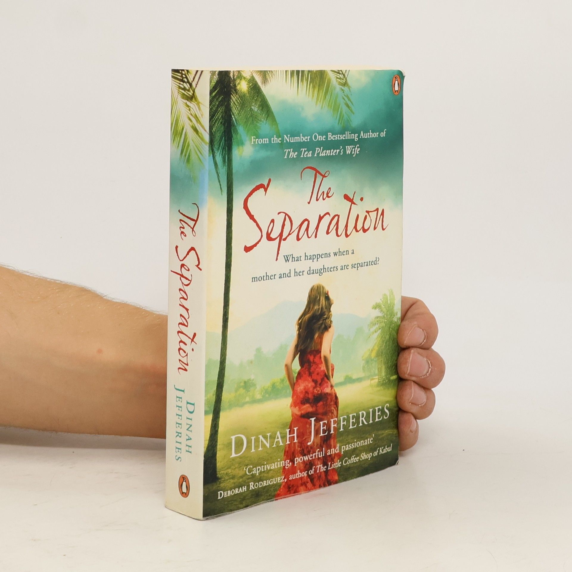 Dinah Jefferies The Separation. Bis wir uns wiedersehen, englische Ausgabe