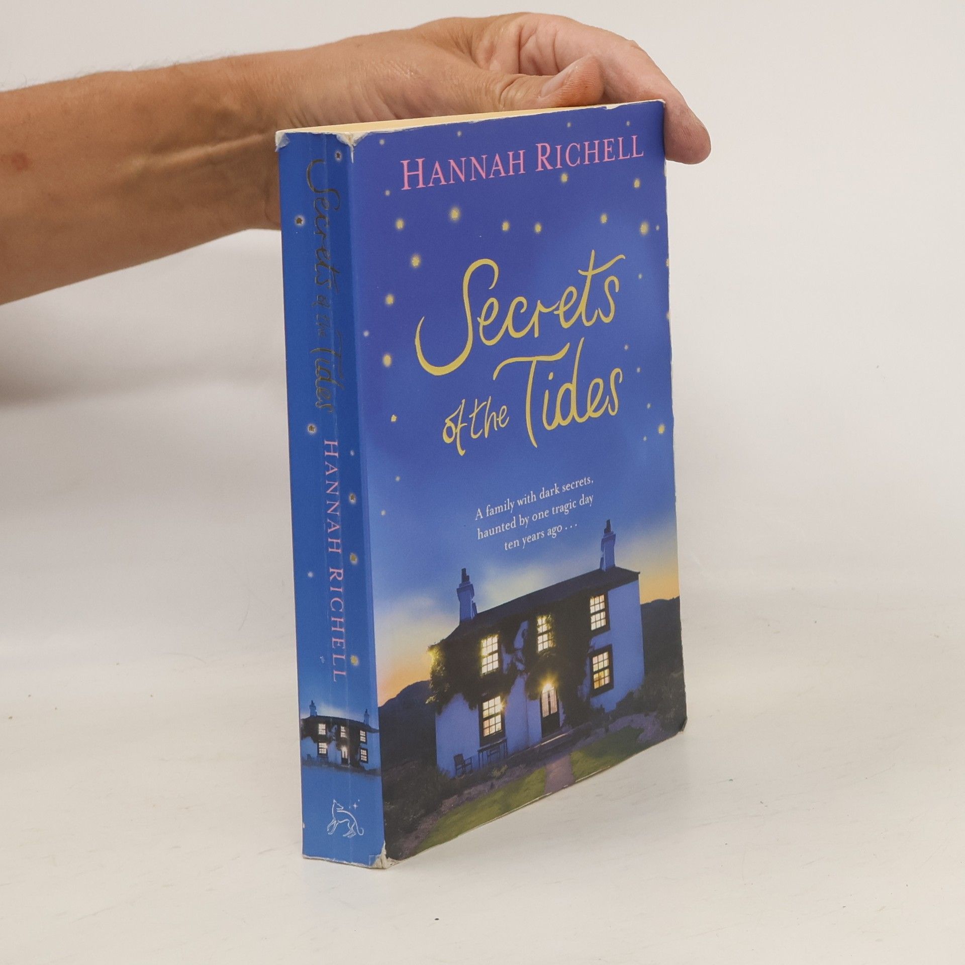 Hannah Richell Secrets of the Tides