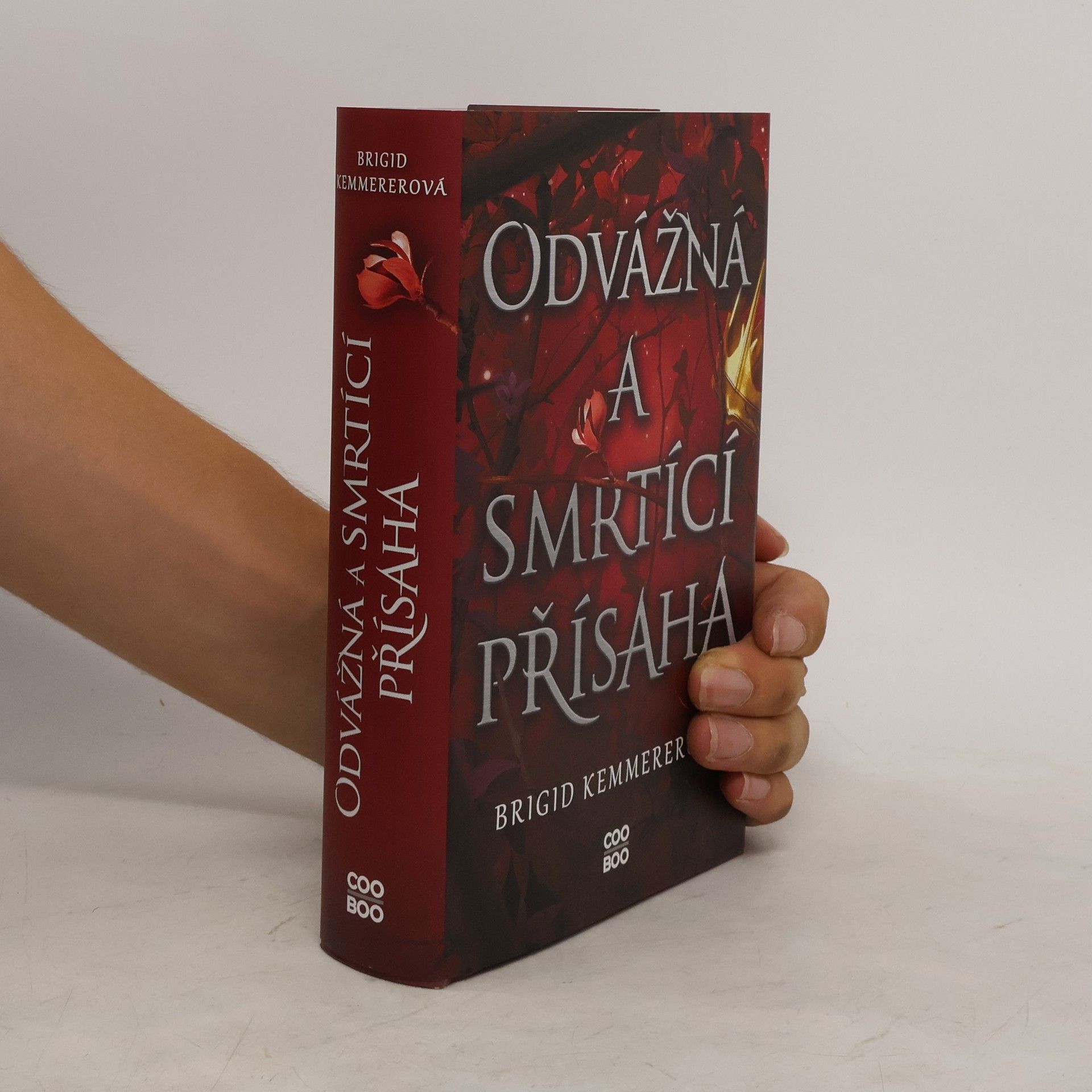Brigid Kemmerer Odvážná a smrtící přísaha