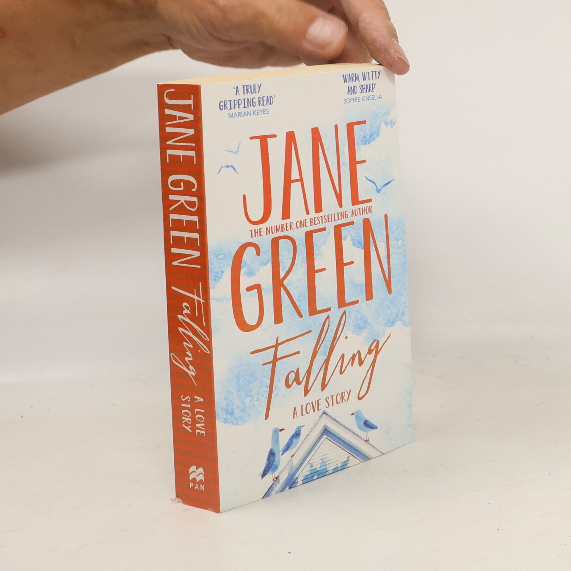 Jane Green Falling: A Love Story