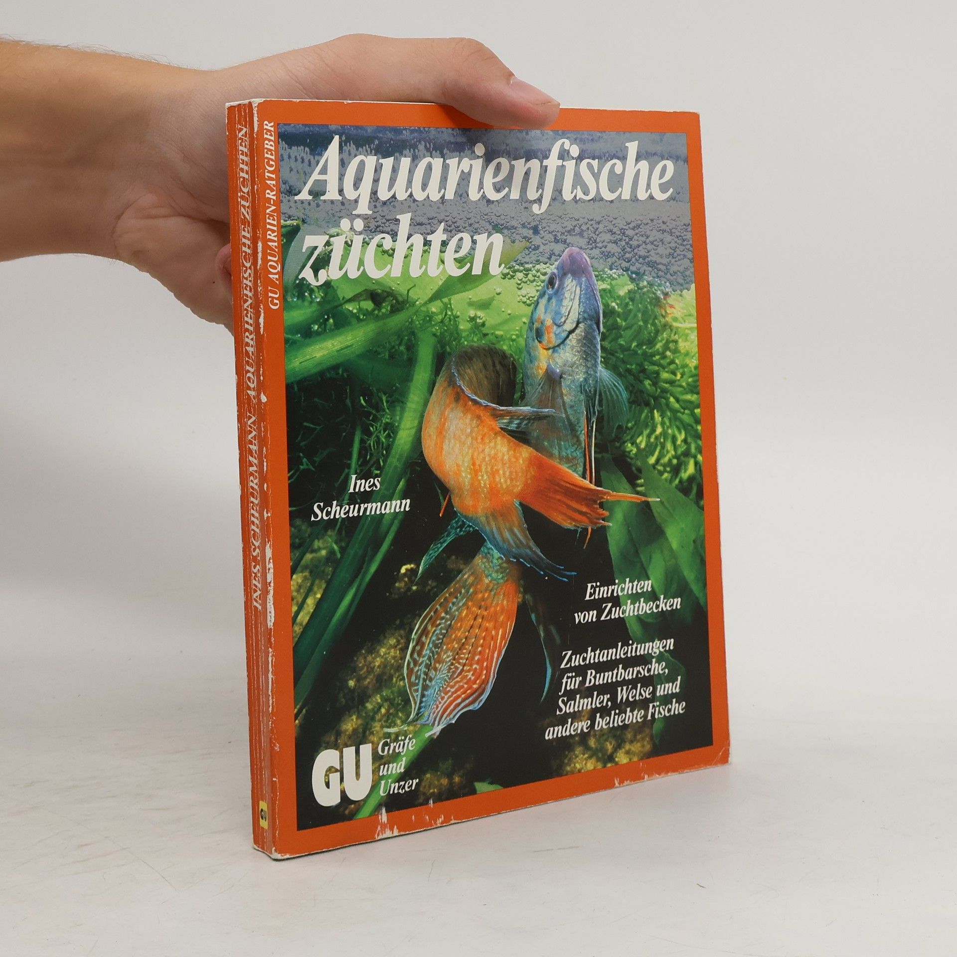 Ines Scheurmann Aquarienfische züchten