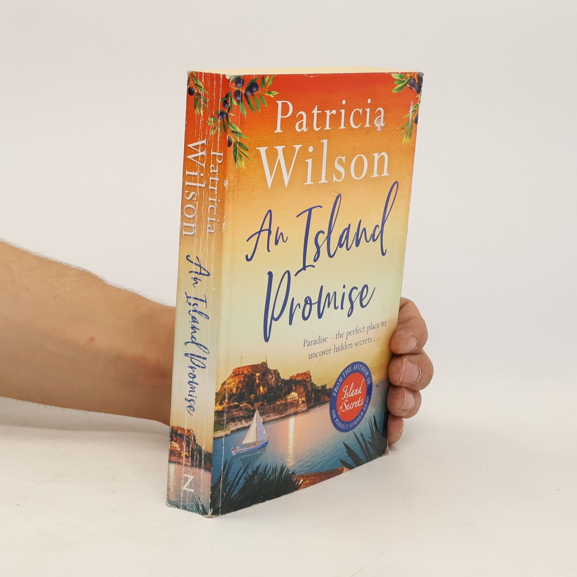 Patricia Wilson An Island Promise