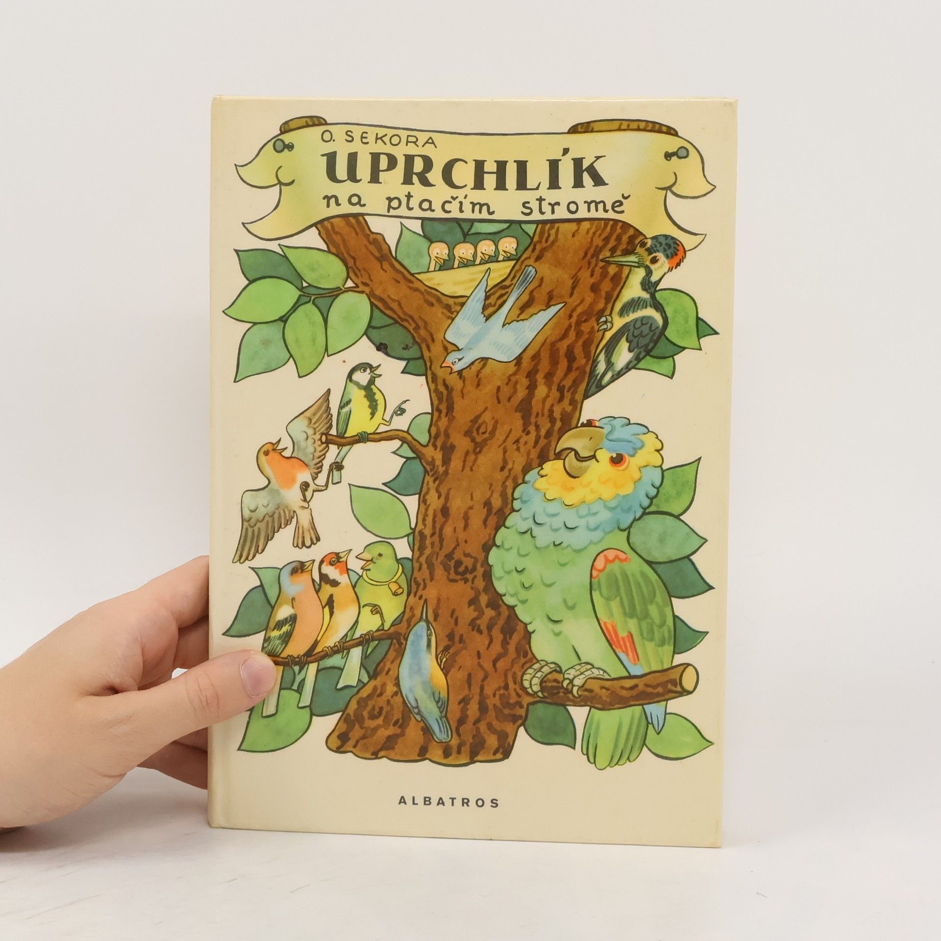 Ondřej Sekora Uprchlík na ptačím stromě