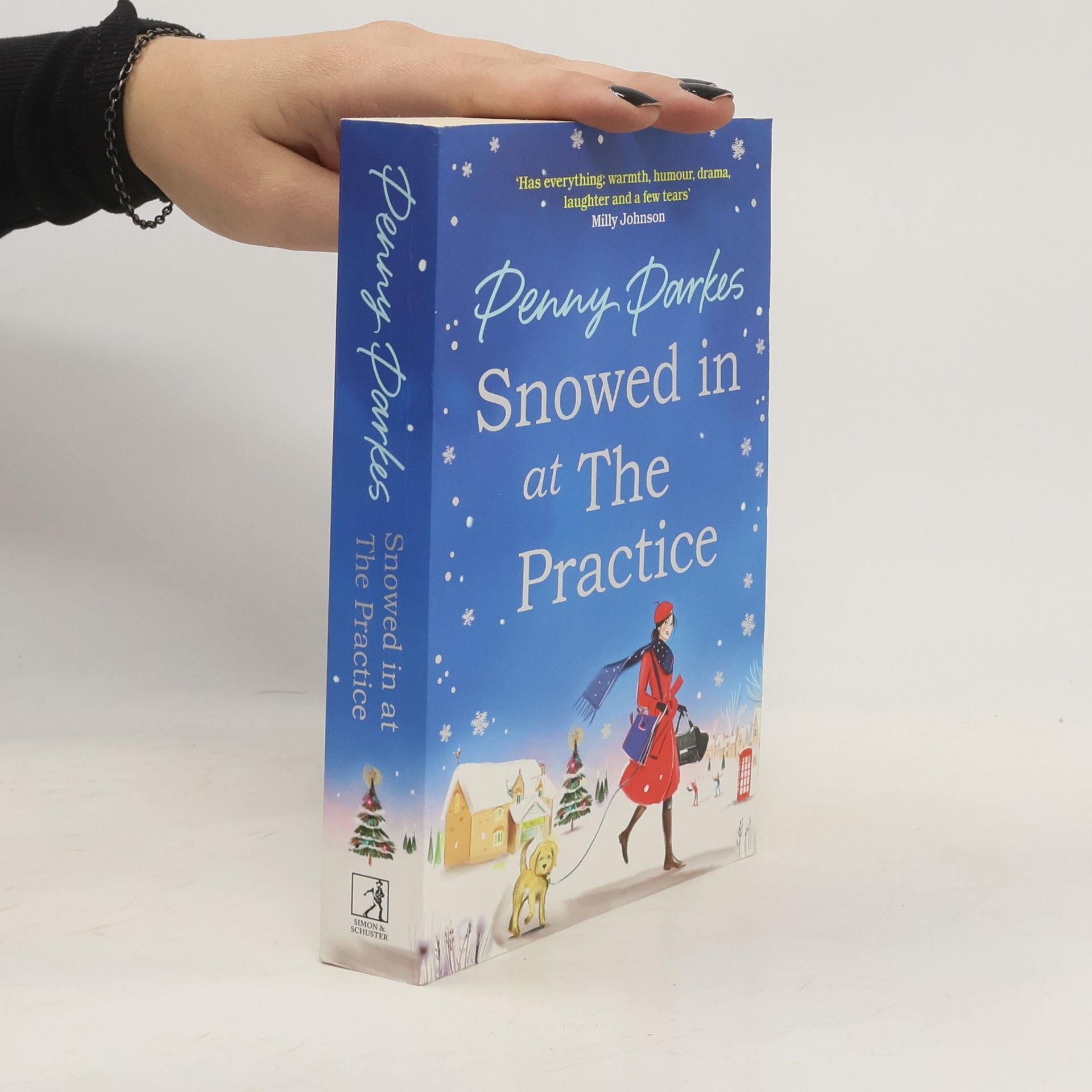 Penny Parkes Snowed in at the Practice