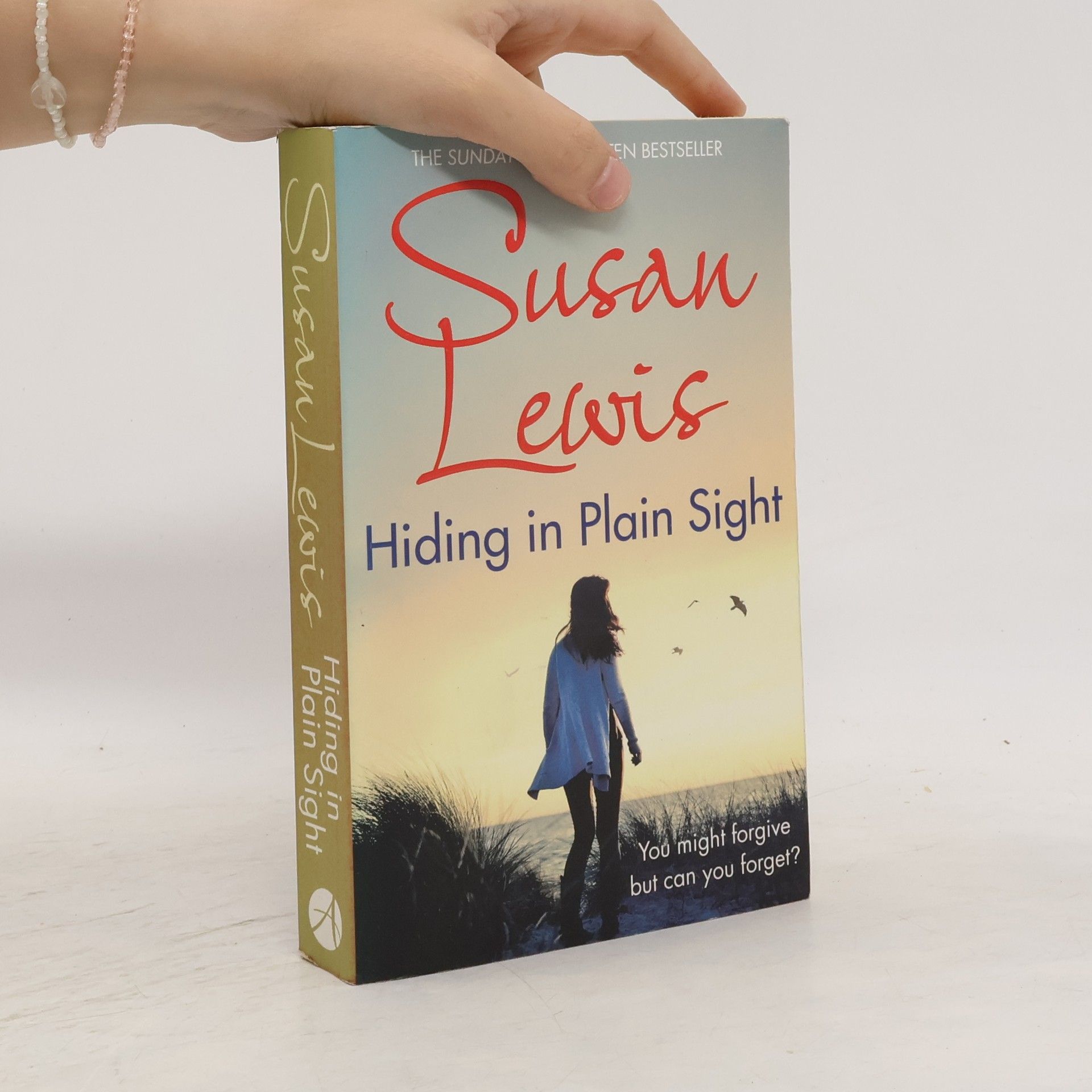 Susan Lewis Hiding in Plain Sight