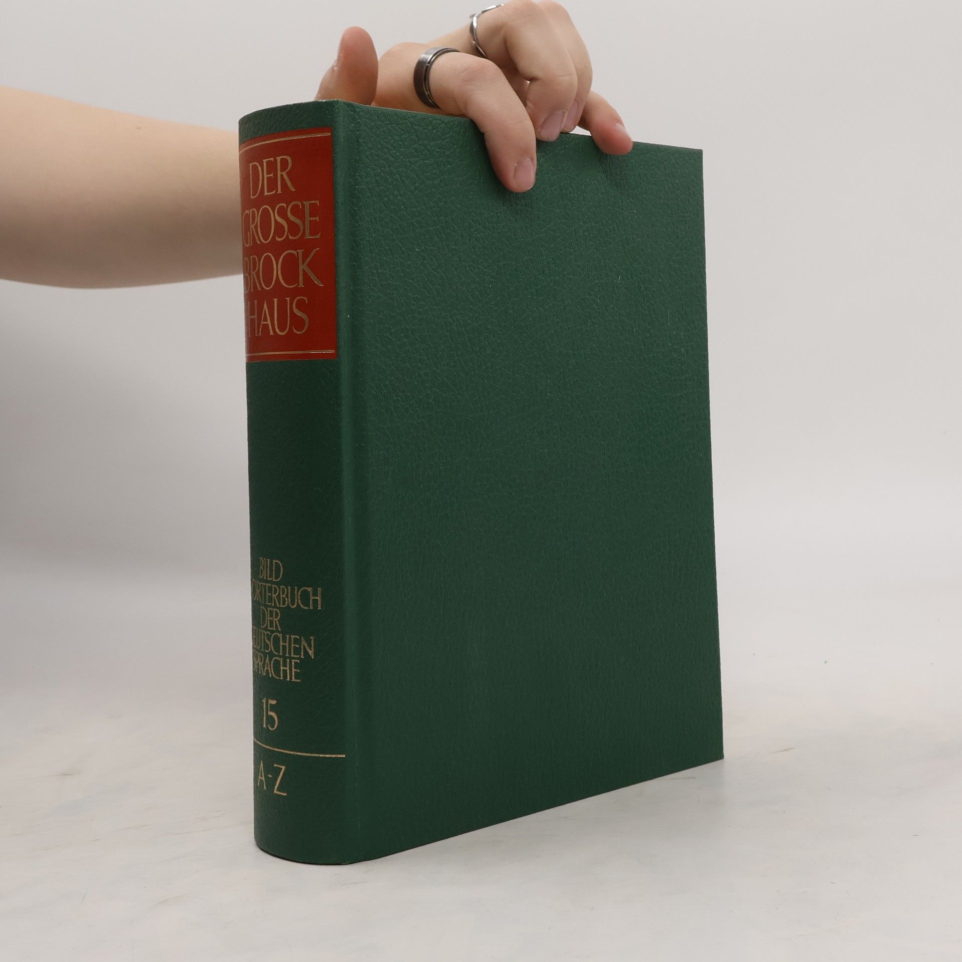 Kolektív autorov Bildwörterbuch der deutschen Sprache