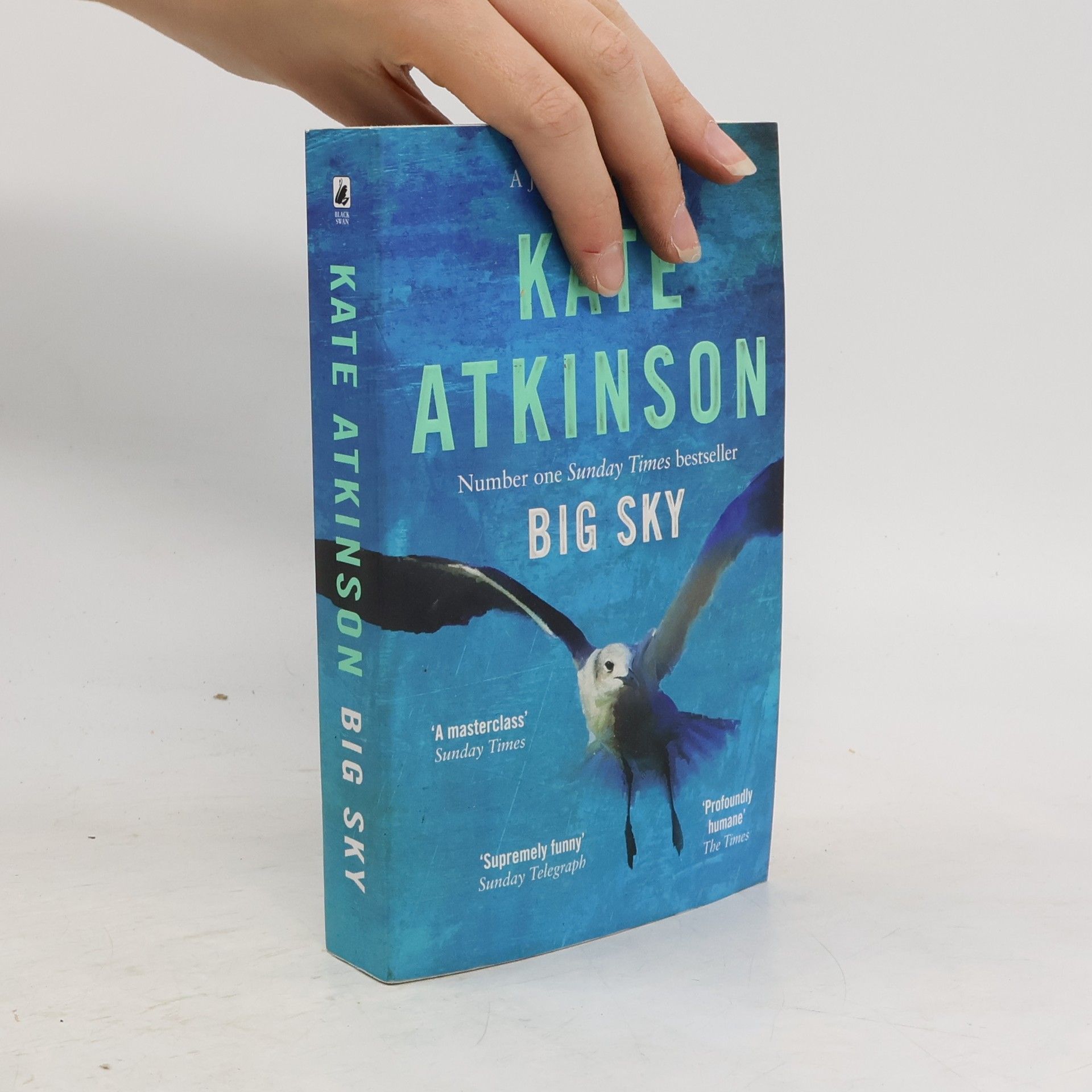 Kate Atkinson Big Sky