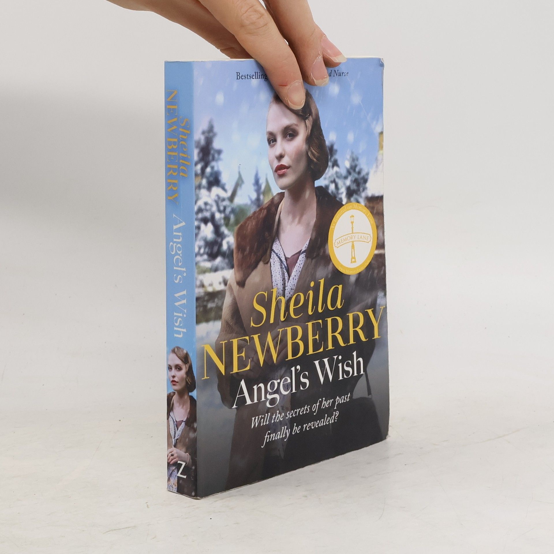 Sheila Newberry Angel's Wish