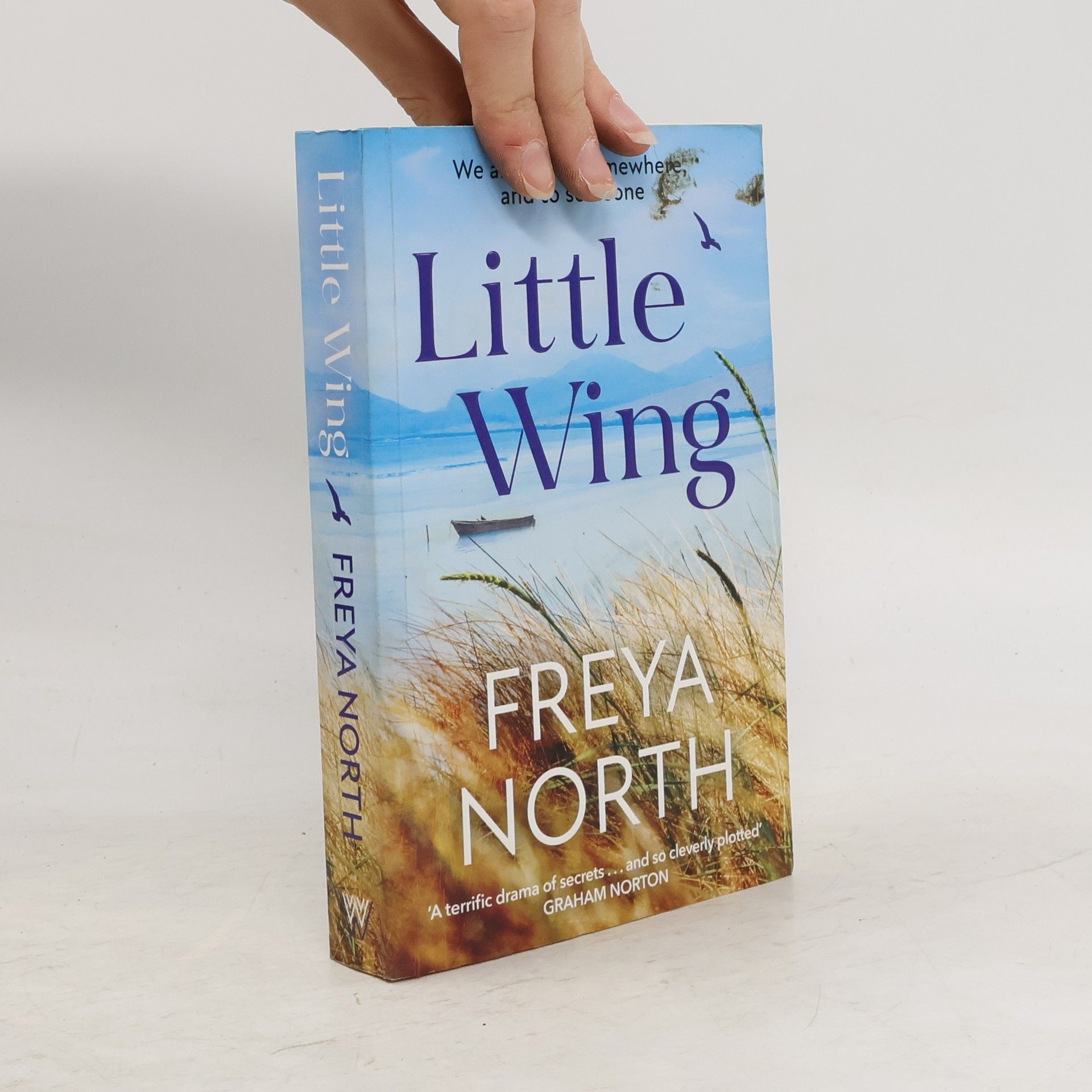 Freya North Little Wing