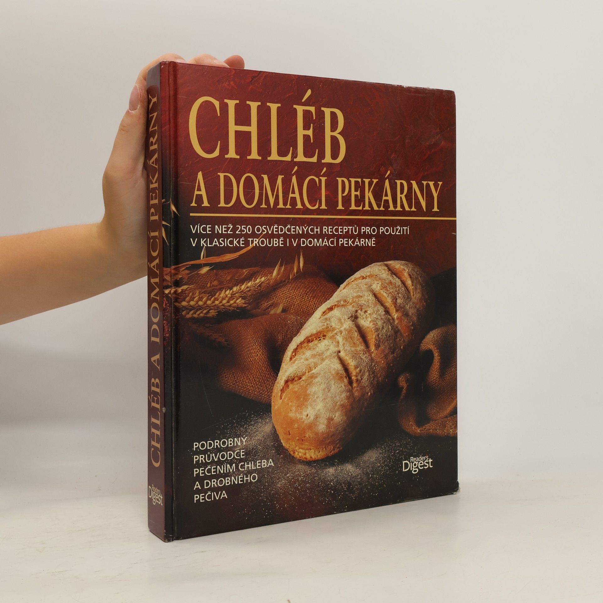 AA.VV. Chléb a domácí pekárny