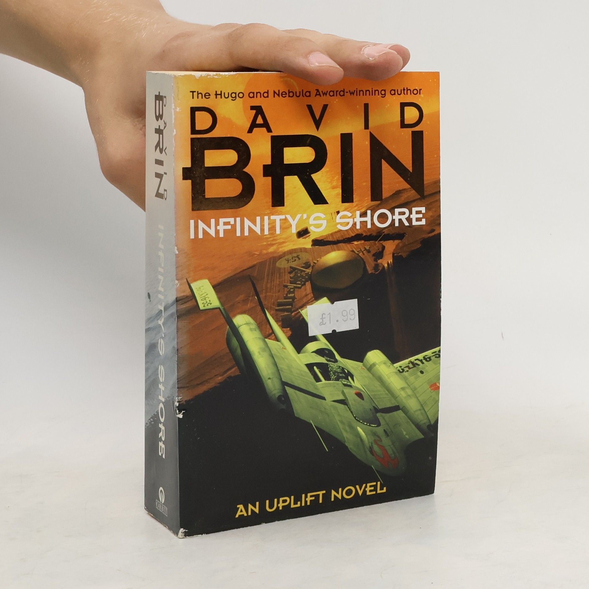 David Brin Infinity's Shore