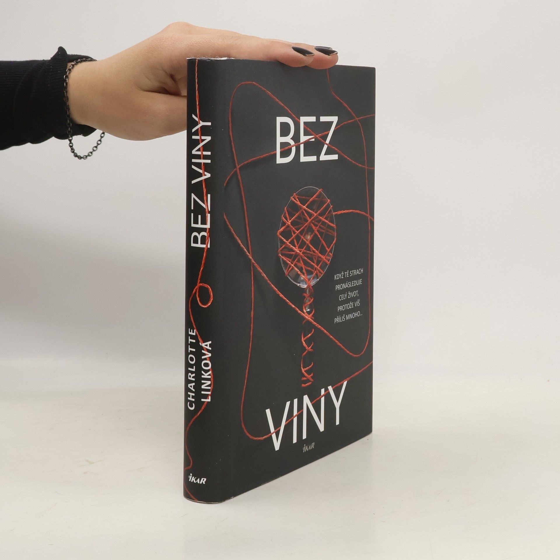 Charlotte Link Bez viny