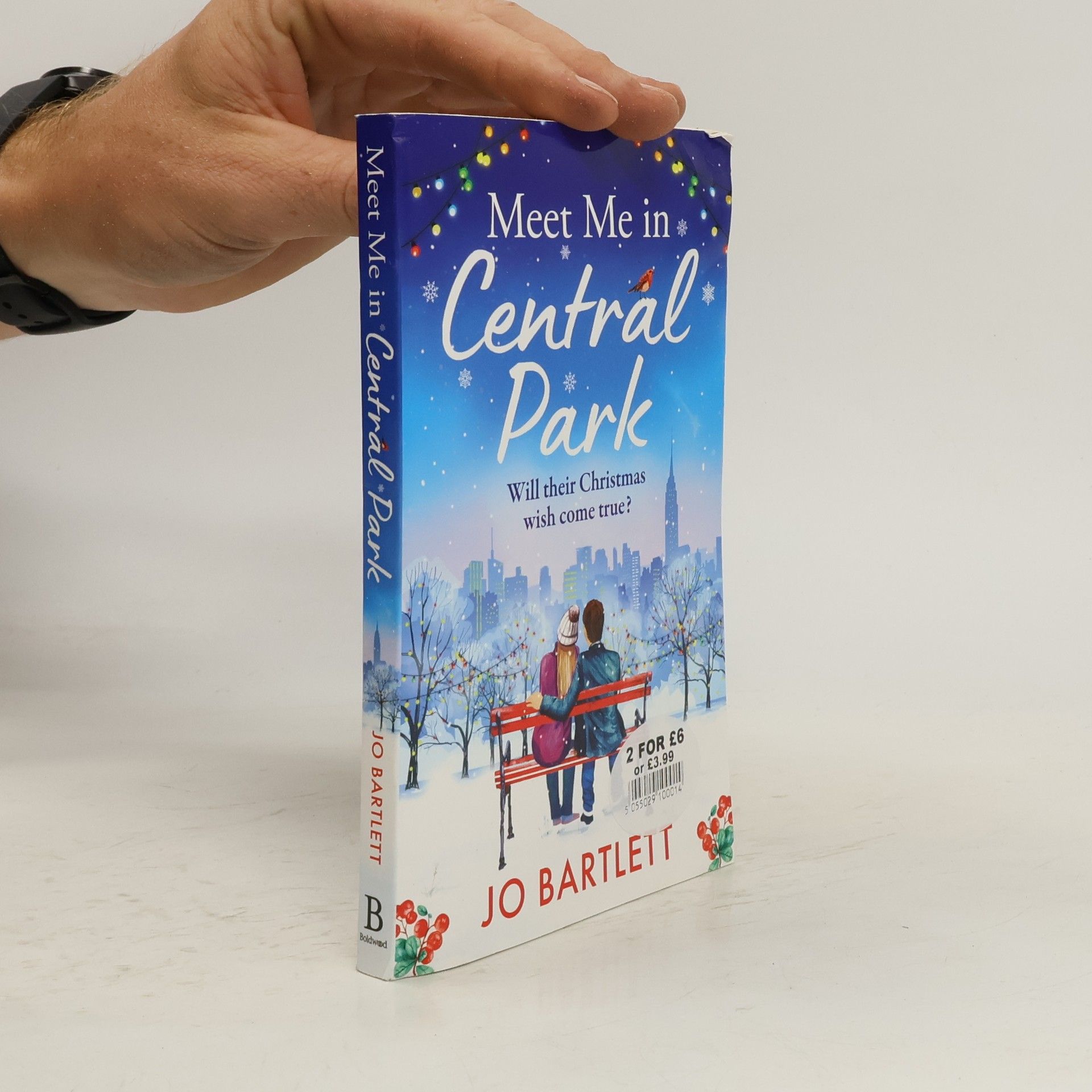 Jo Bartlett Meet Me in Central Park