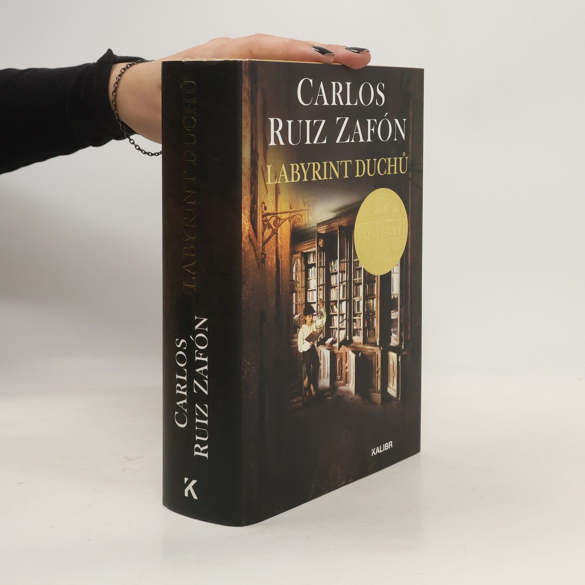 Carlos Ruis Zafon Labyrint duchů