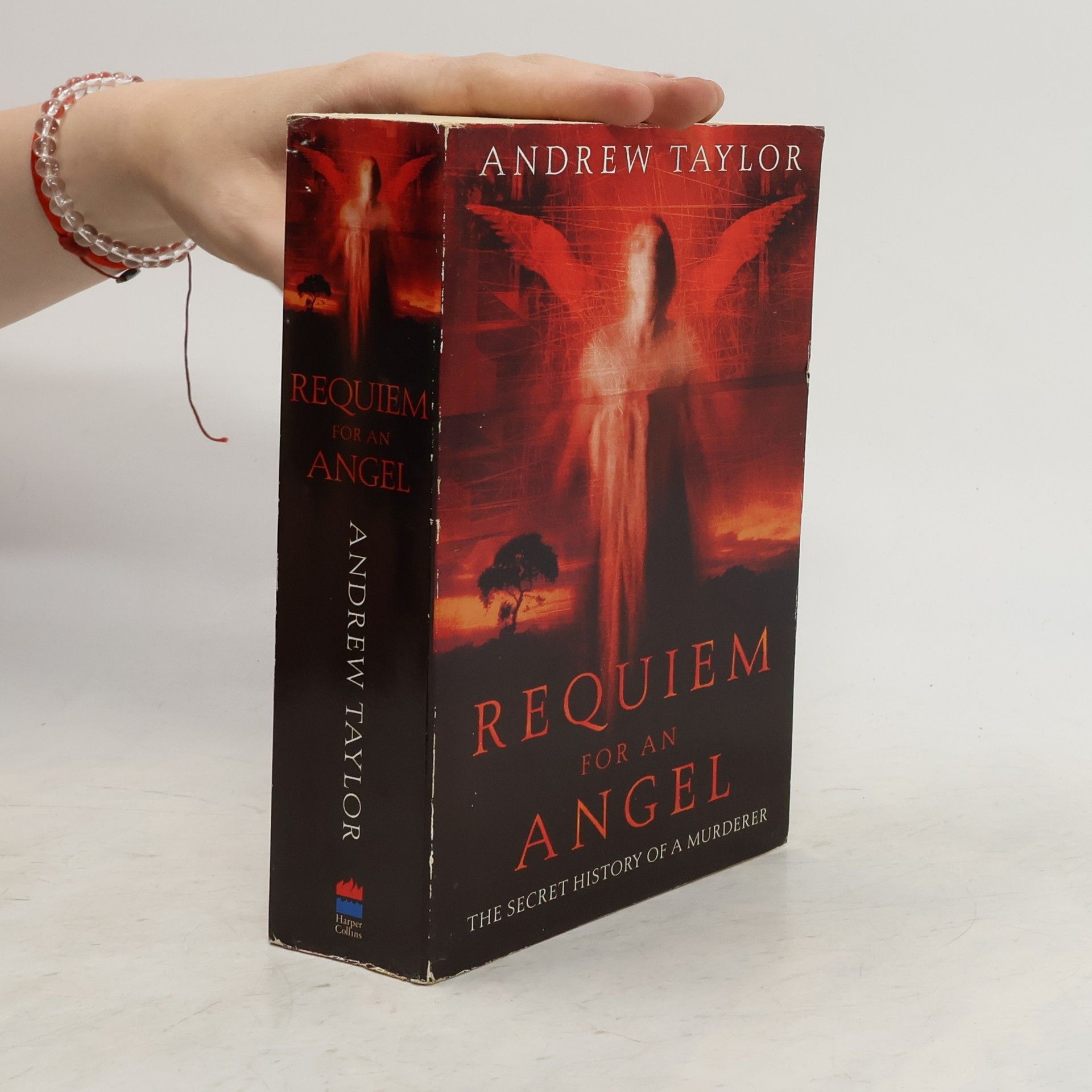 Andrew Taylor Still Requiem for an Angel