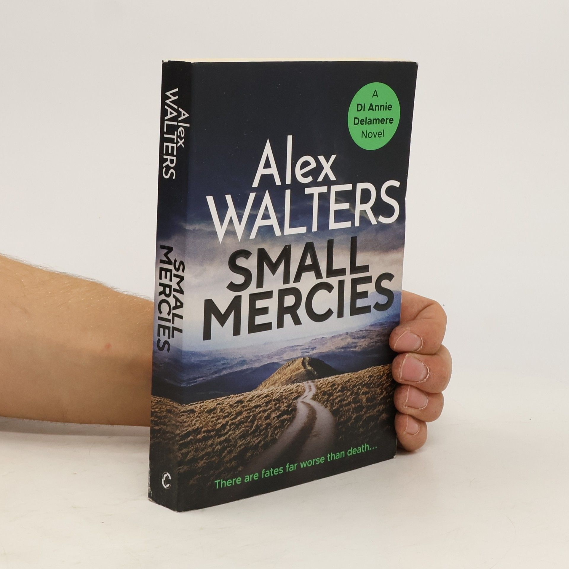 Alex Walters Small Mercies