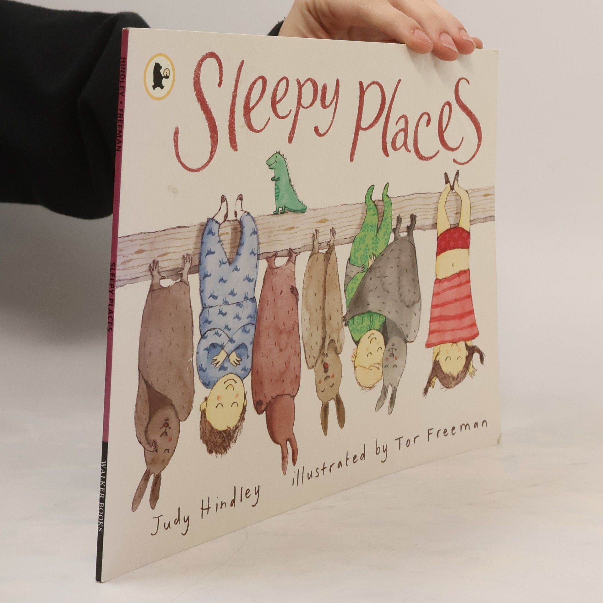 Judy Hindley Sleepy Places