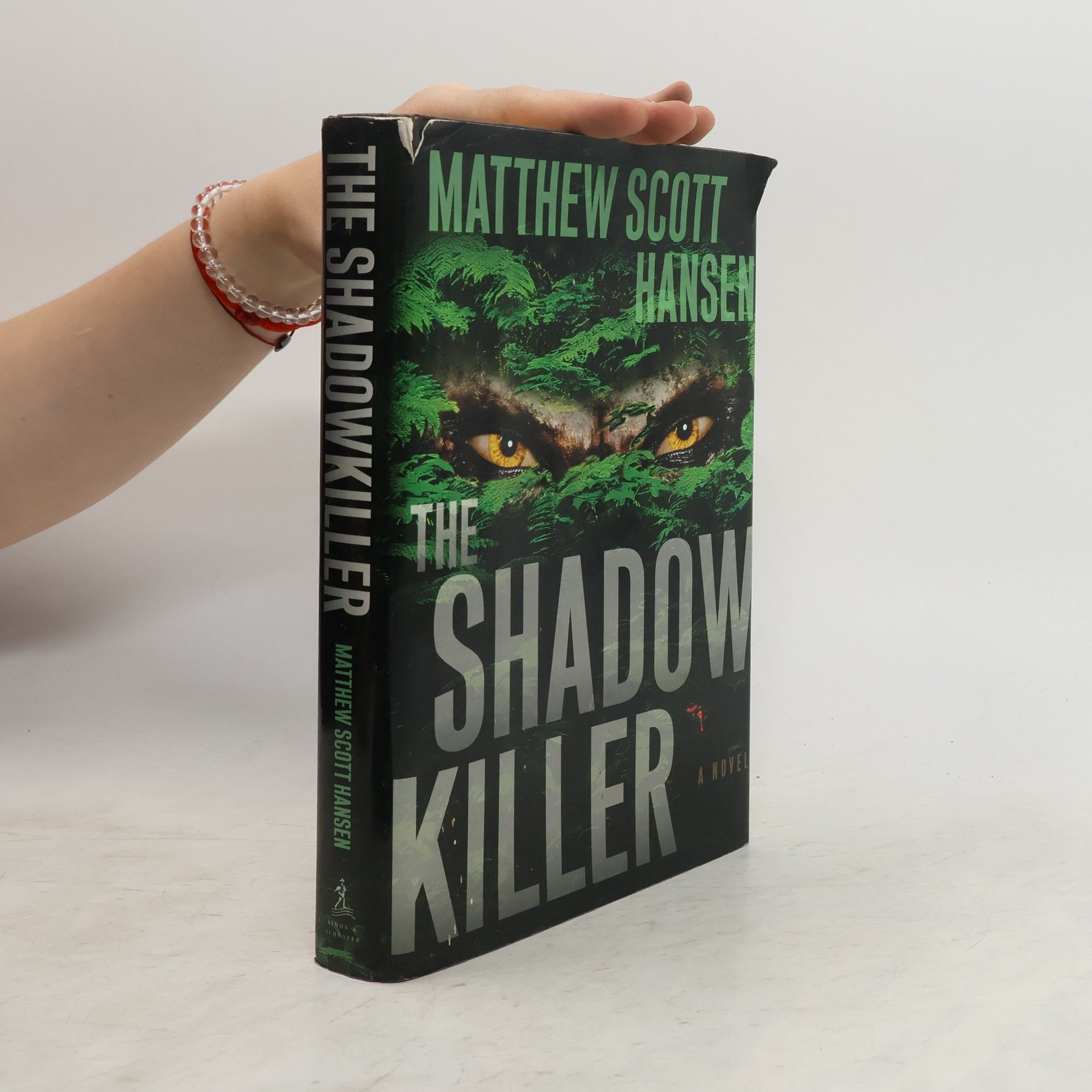 Matthew Scott Hansen The Shadow Killer