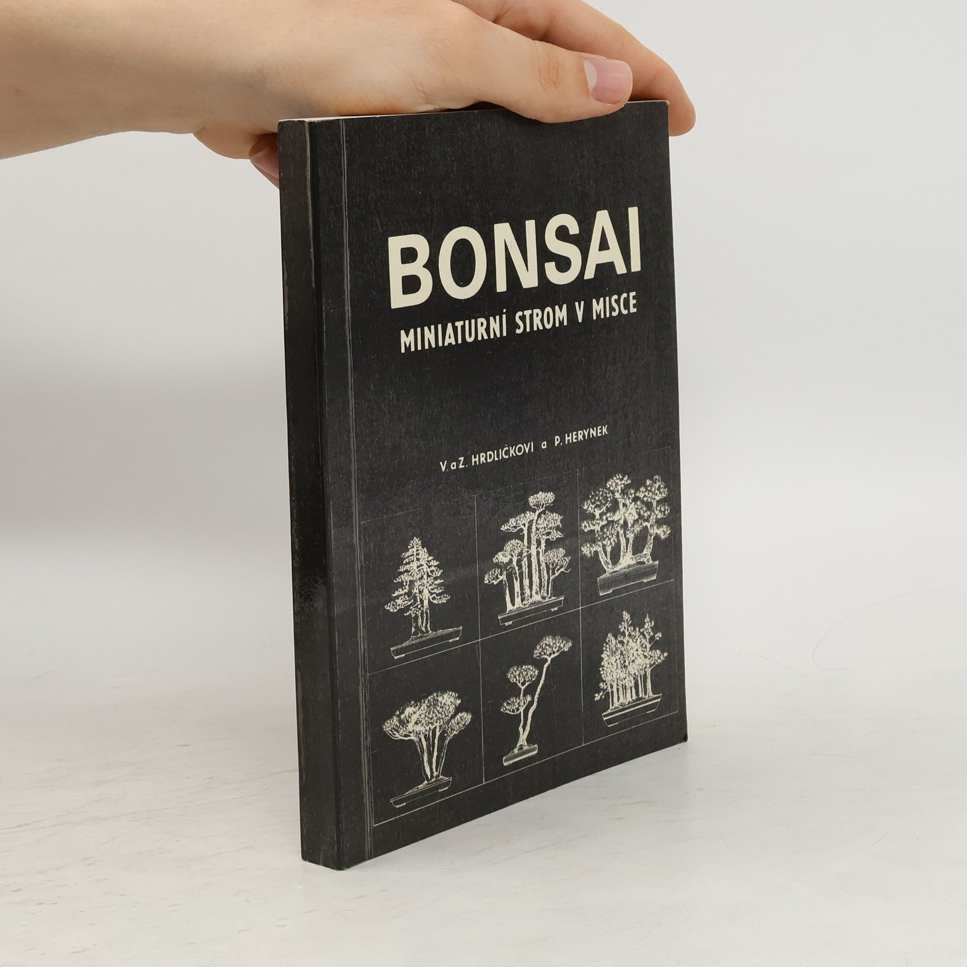 Zdeněk Hrdlička Bonsai. Miniaturní strom v misce