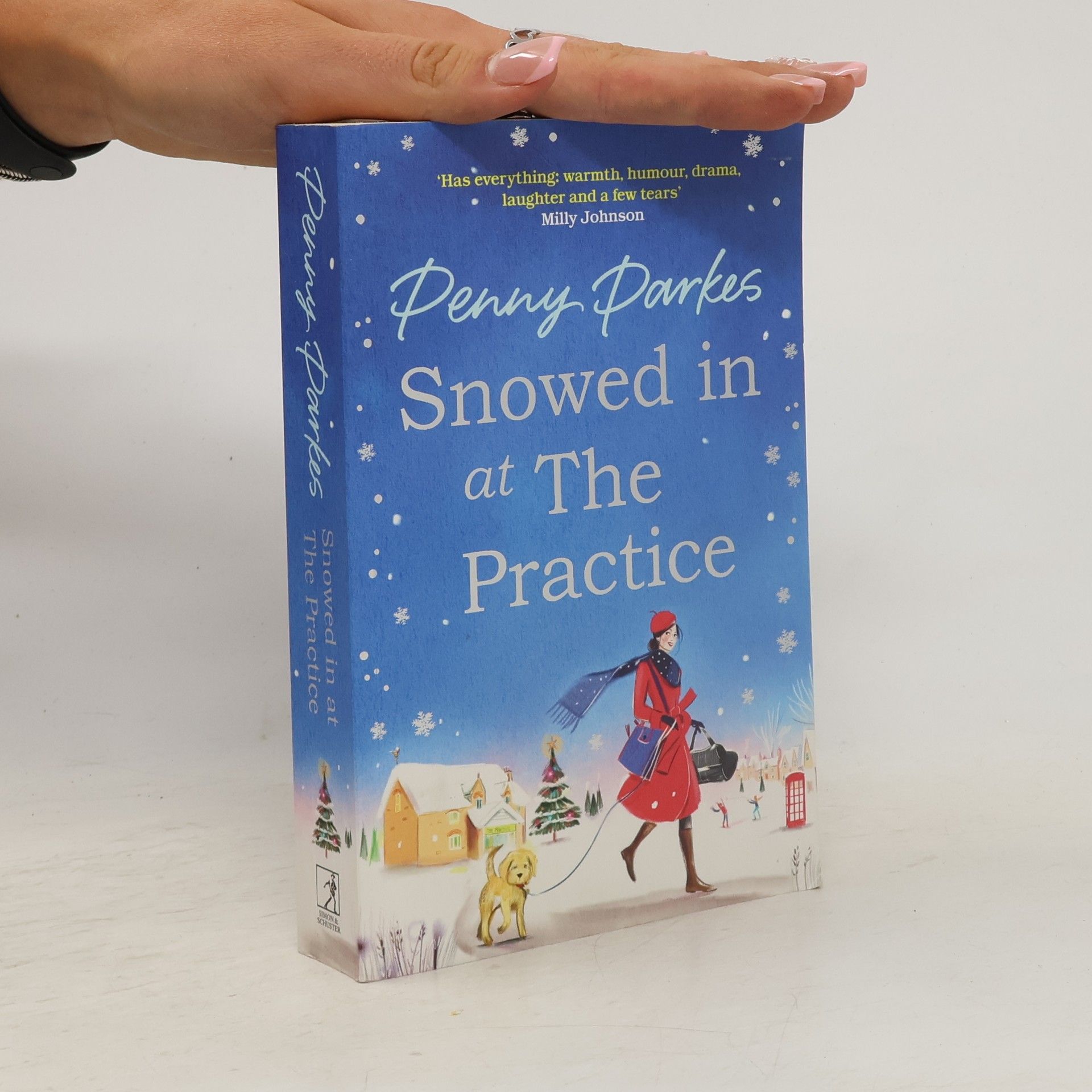 Penny Parkes Snowed in at the Practice
