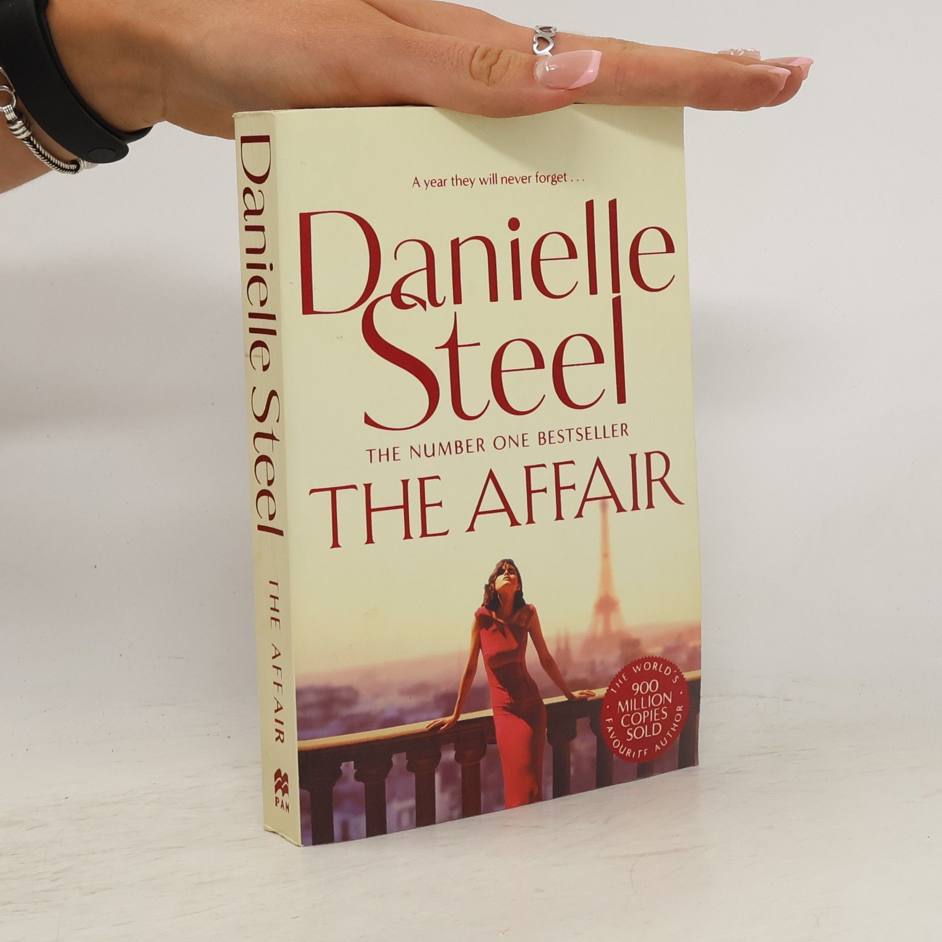Danielle Steelová The Affair