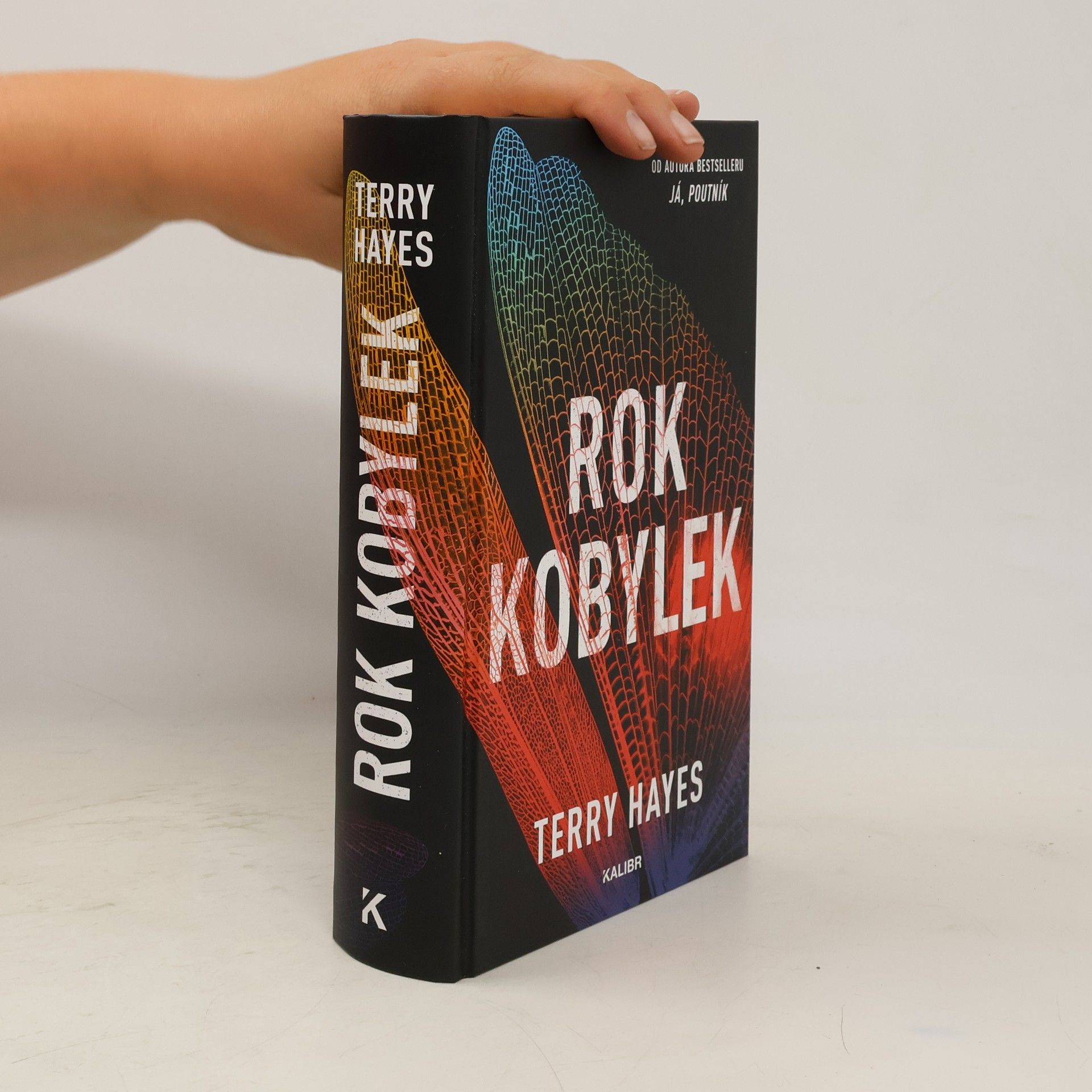 Terry Hayes Rok kobylek