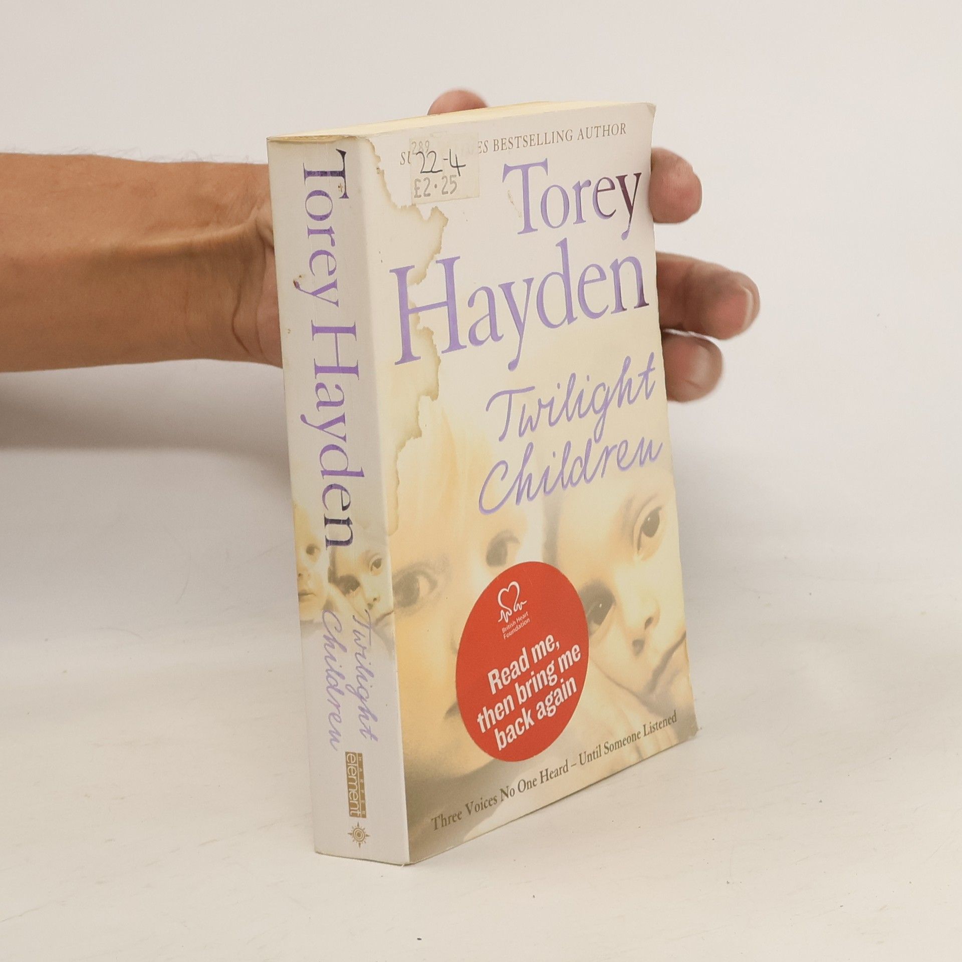 Torey L. Hayden Twilight Children