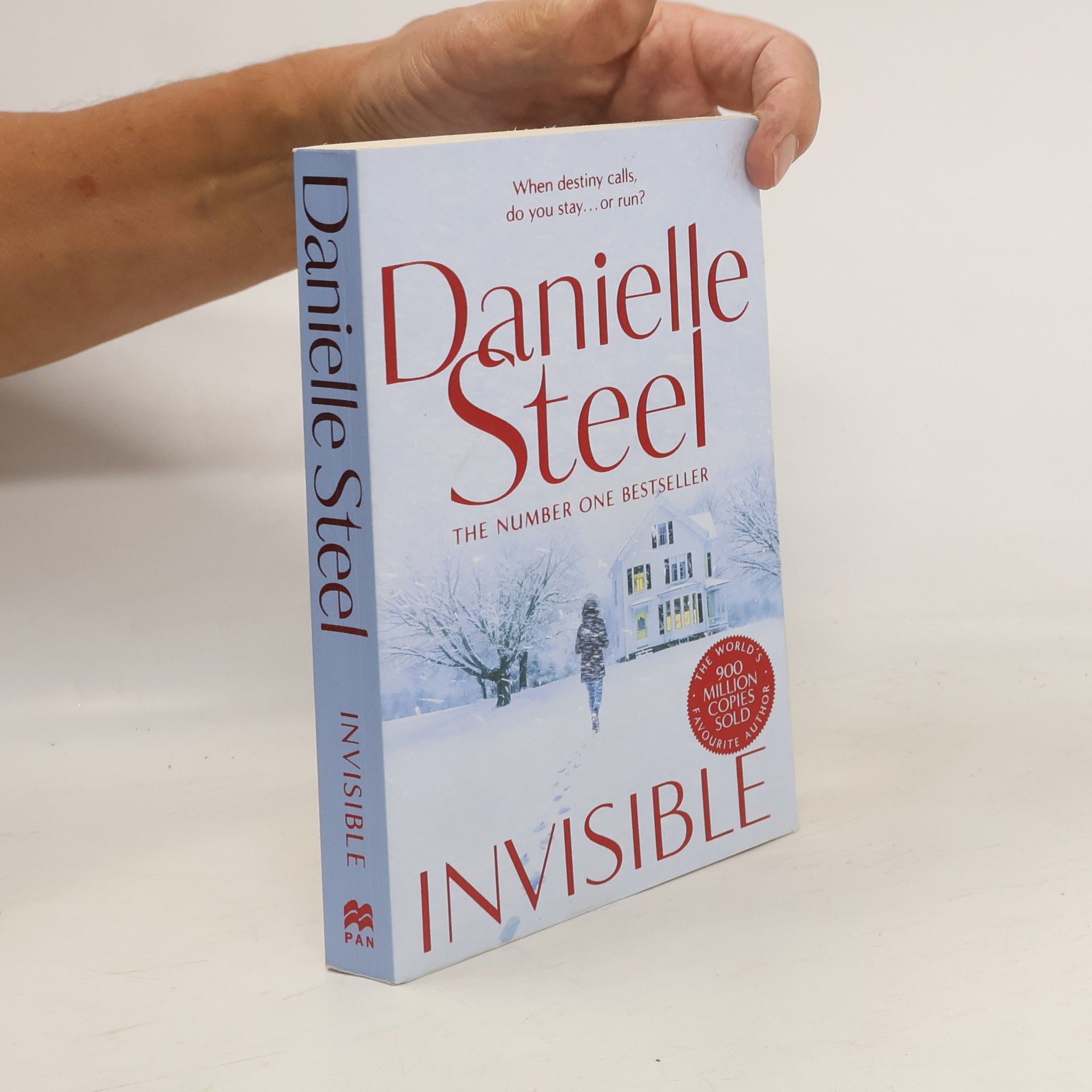 Danielle Steel Invisible