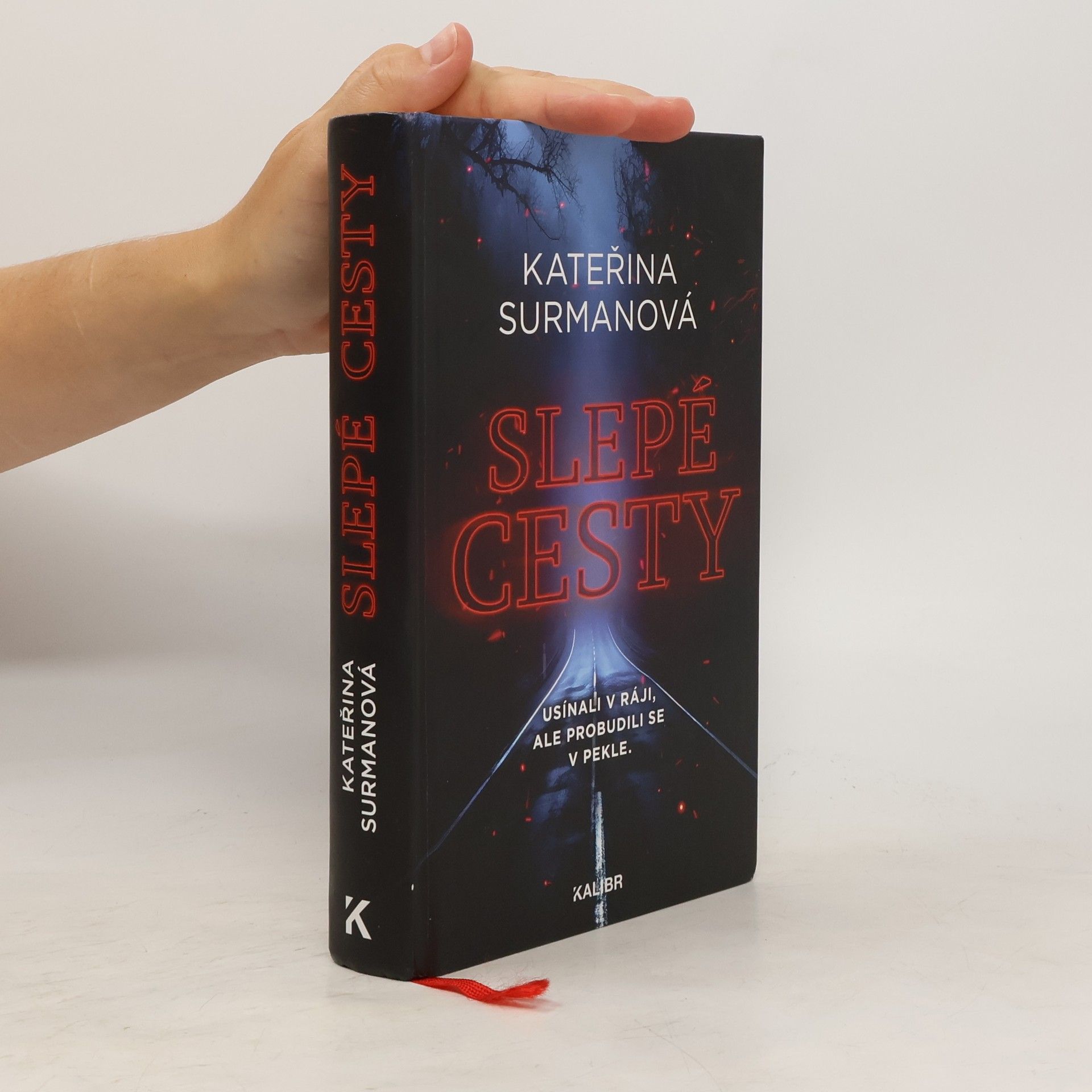 Kateřina Surmanová Slepé cesty