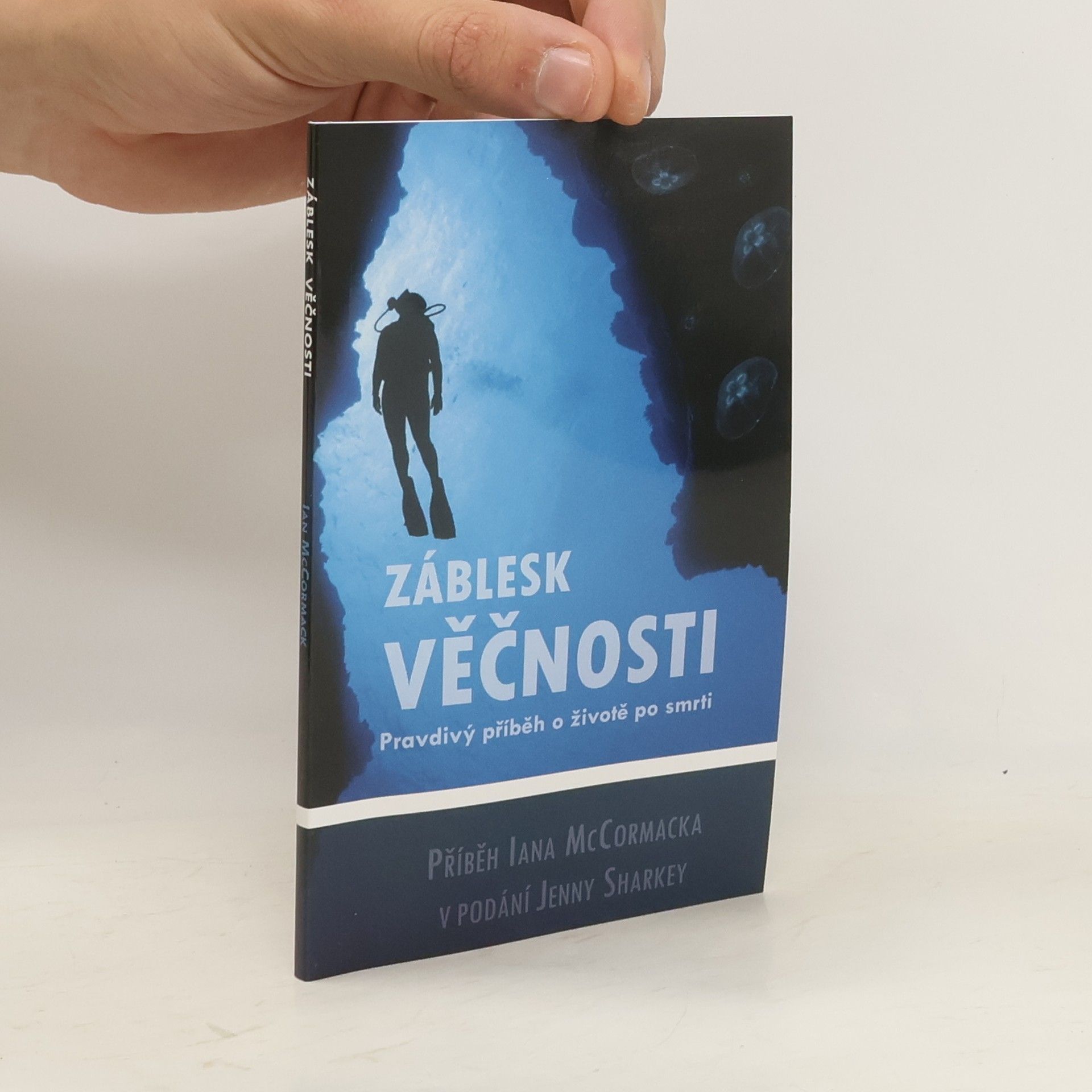 Kolektiv autorů Záblesk věčnosti