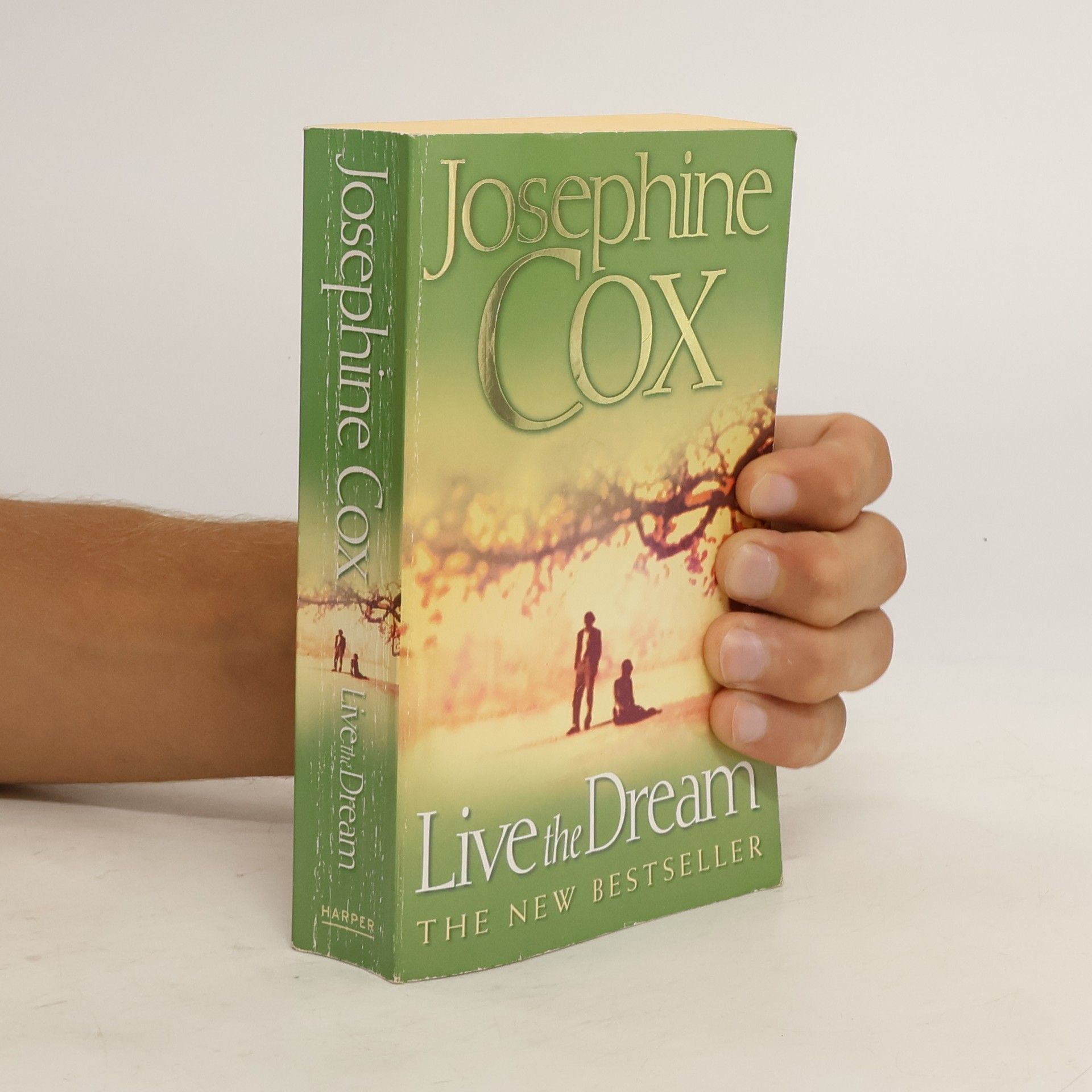Josephine Cox Live the Dream